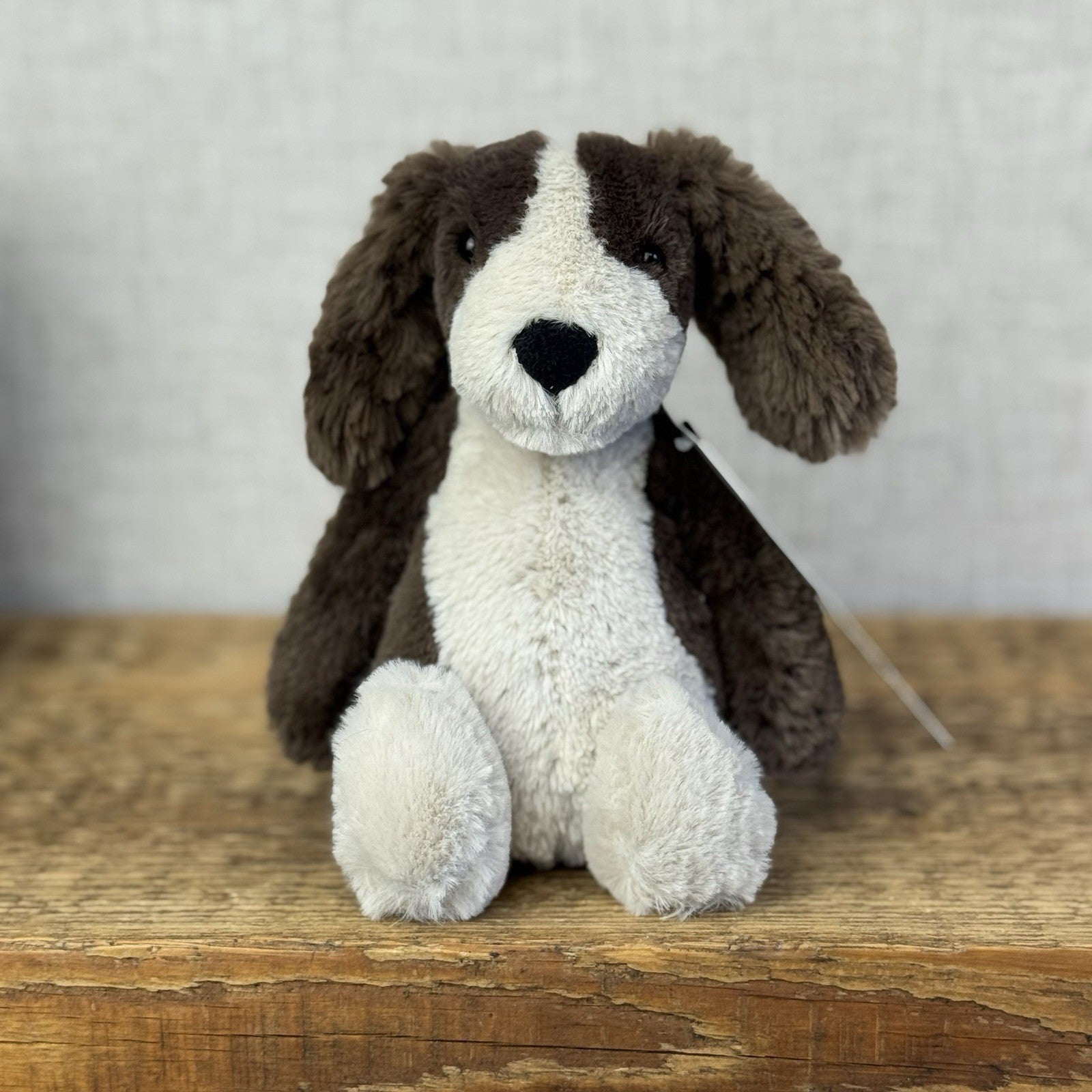 Jellycat Small Bashful Fudge Puppy - Brown Spaniel Bashful Dog Beanie Plush 8"