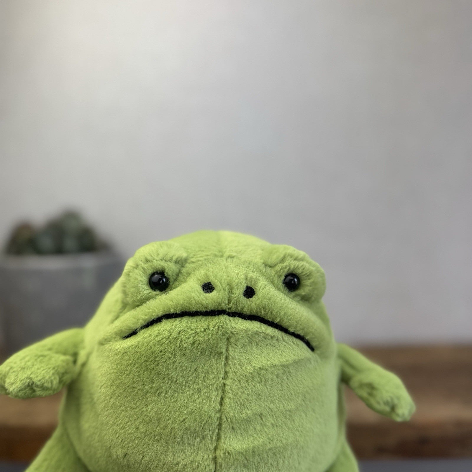 Jellycat Ricky Rain Frog - Green Soft Toy Frog Beanie Plush Medium 7"