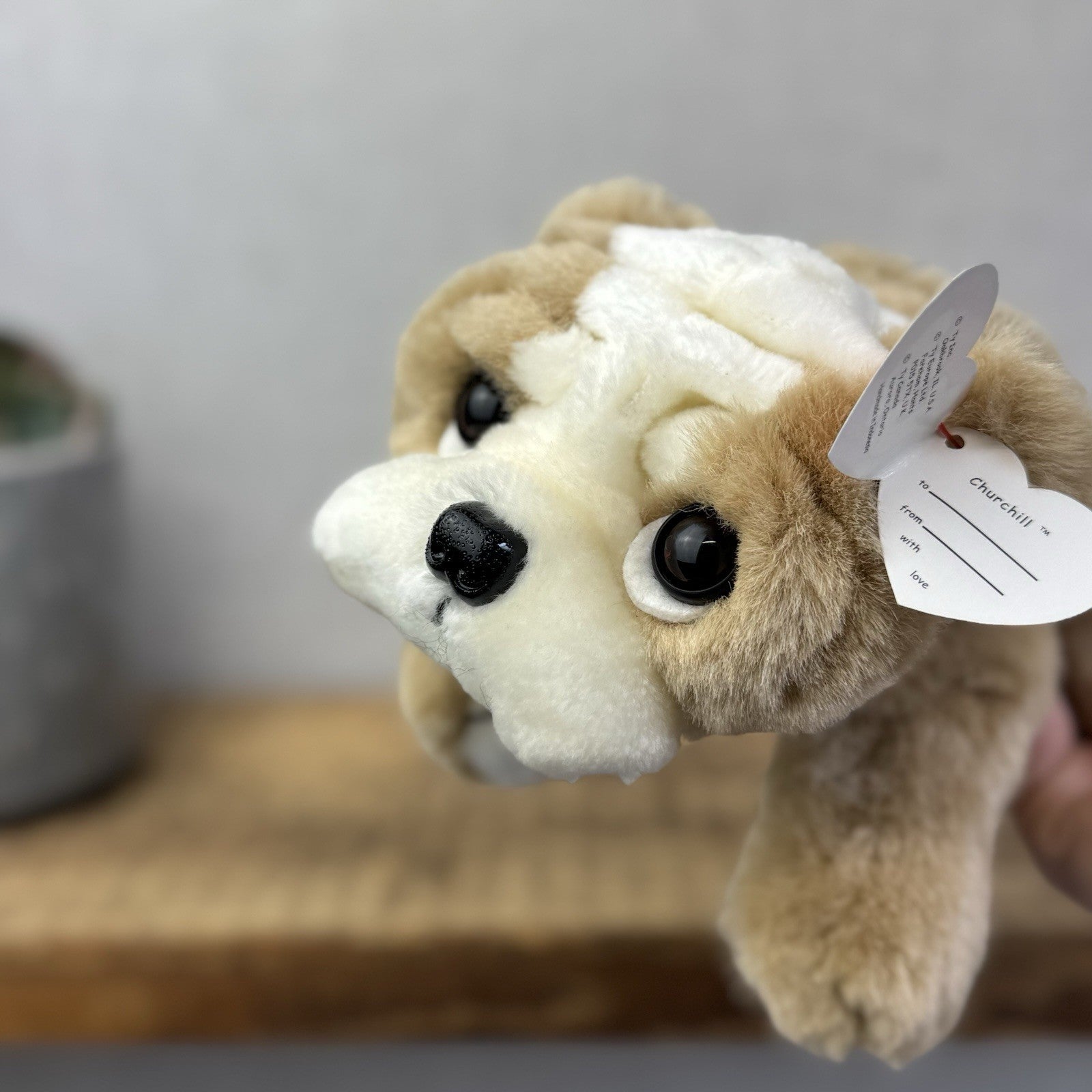 Ty Classic Beanie Buddies Churchill Bulldog Puppy Dog - Wrinkly Dog Pristine New