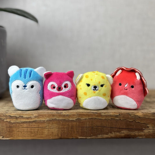 Squishmallow Squishville Bright Squad - Tristan, Santiago, Lexie etc (tags Cut)