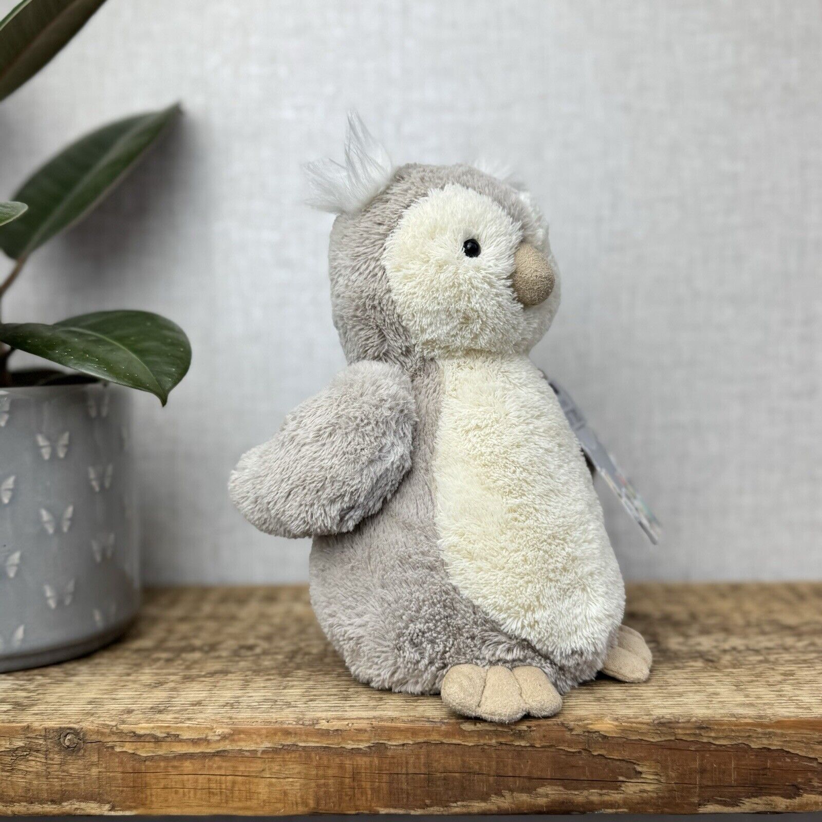Jellycat Peanut Owl - Medium Peanut Chubby Beige/white Owl Plush Beanie 8”