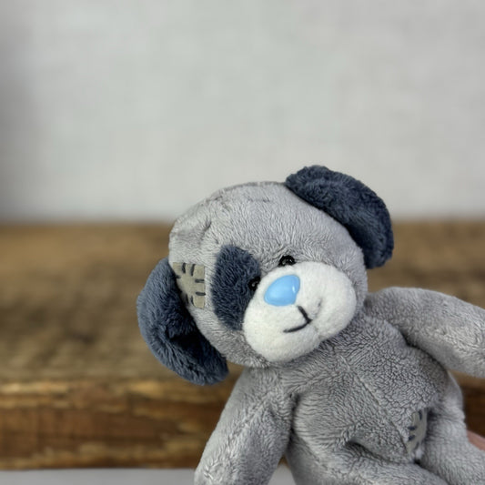 Blue Nose Friends Patch #1 - Grey Blue Nose Dog Soft Toy Beanie Mini 5"