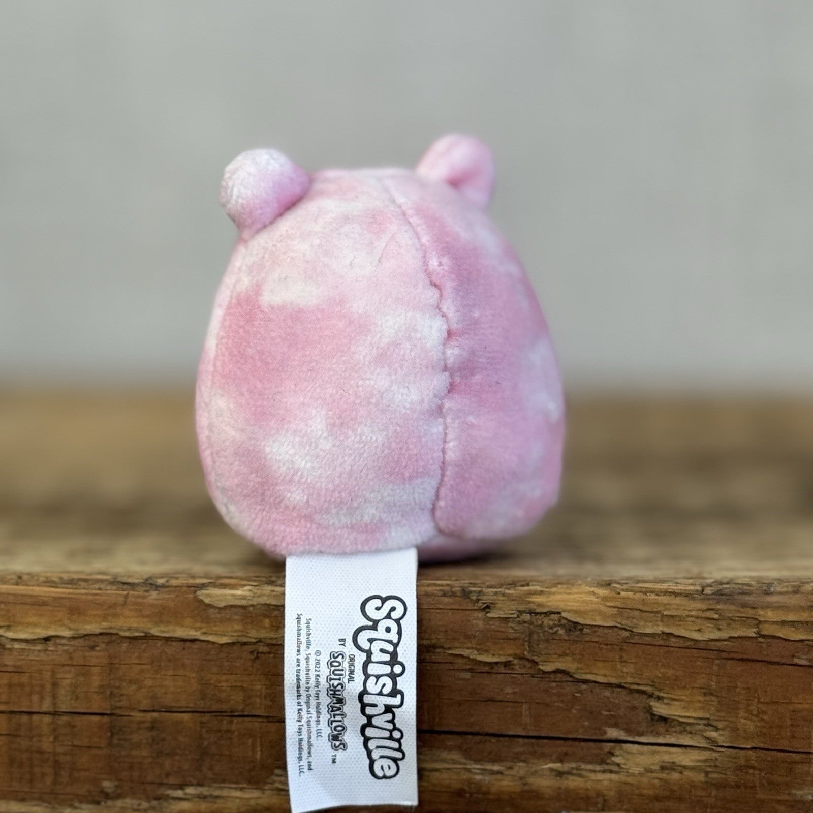 Squishmallow Squishville - Fanina Pink Frog Mini Plush (Multi Buy Discount)