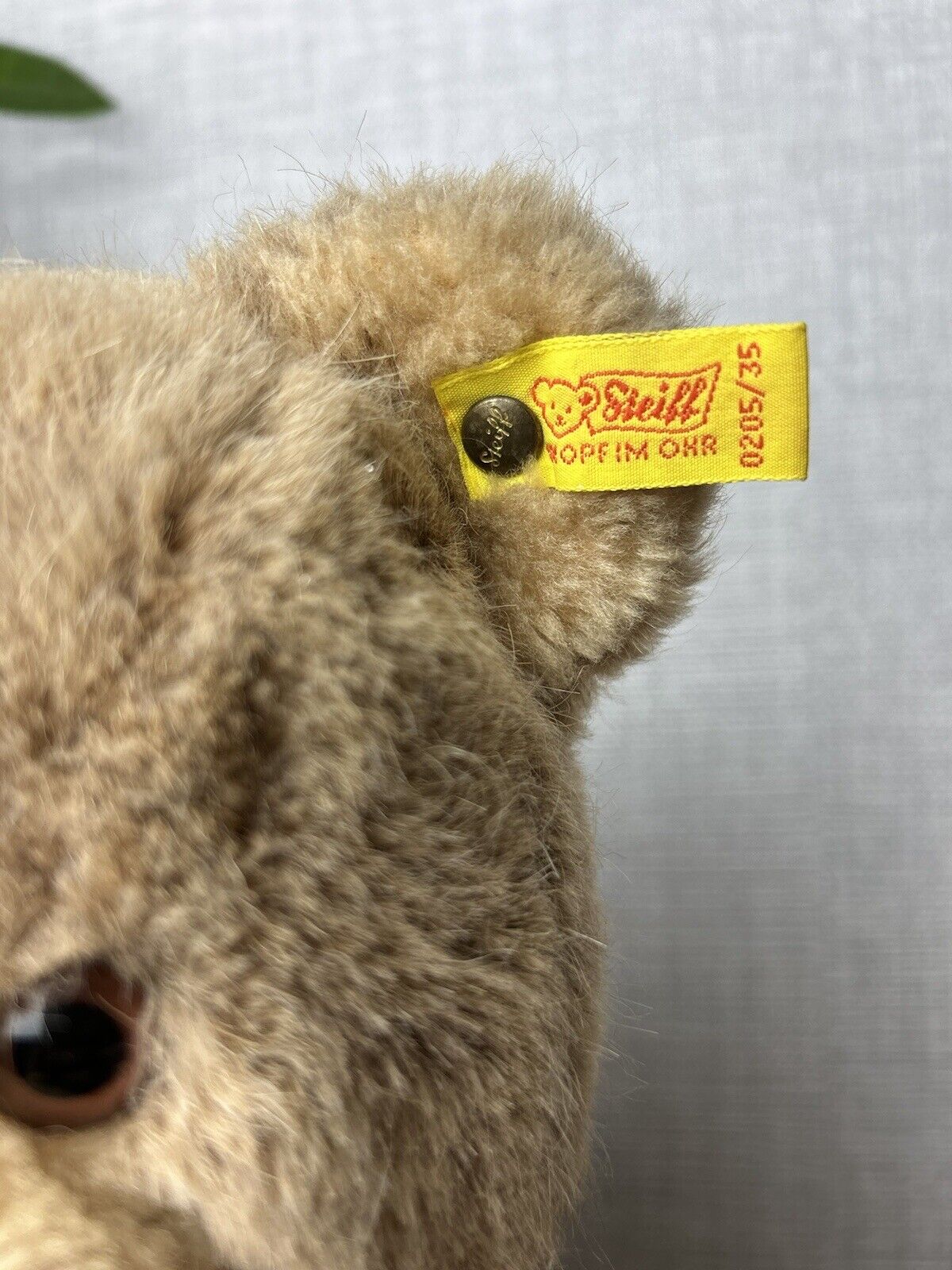 Vintage Steiff Plush Sitting Teddy 0205/35 - Vintage Steiff Teddy Bear Medium