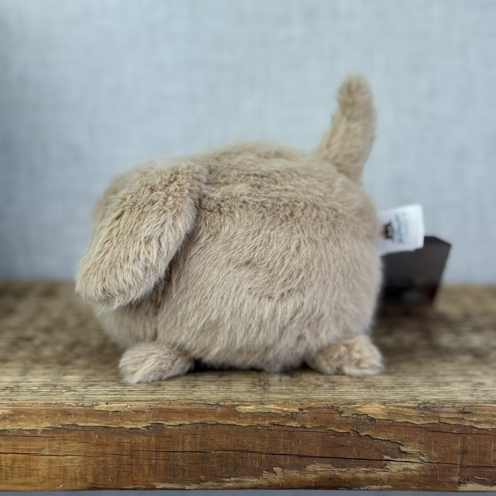 Jellycat Caboodle Puppy Dog Beige Plush Soft Toy - Small Pup Soft Toy 5”