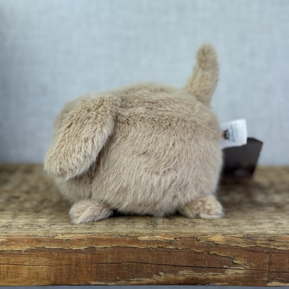 Jellycat Caboodle Puppy Dog Beige Plush Soft Toy - Small Pup Soft Toy 5”