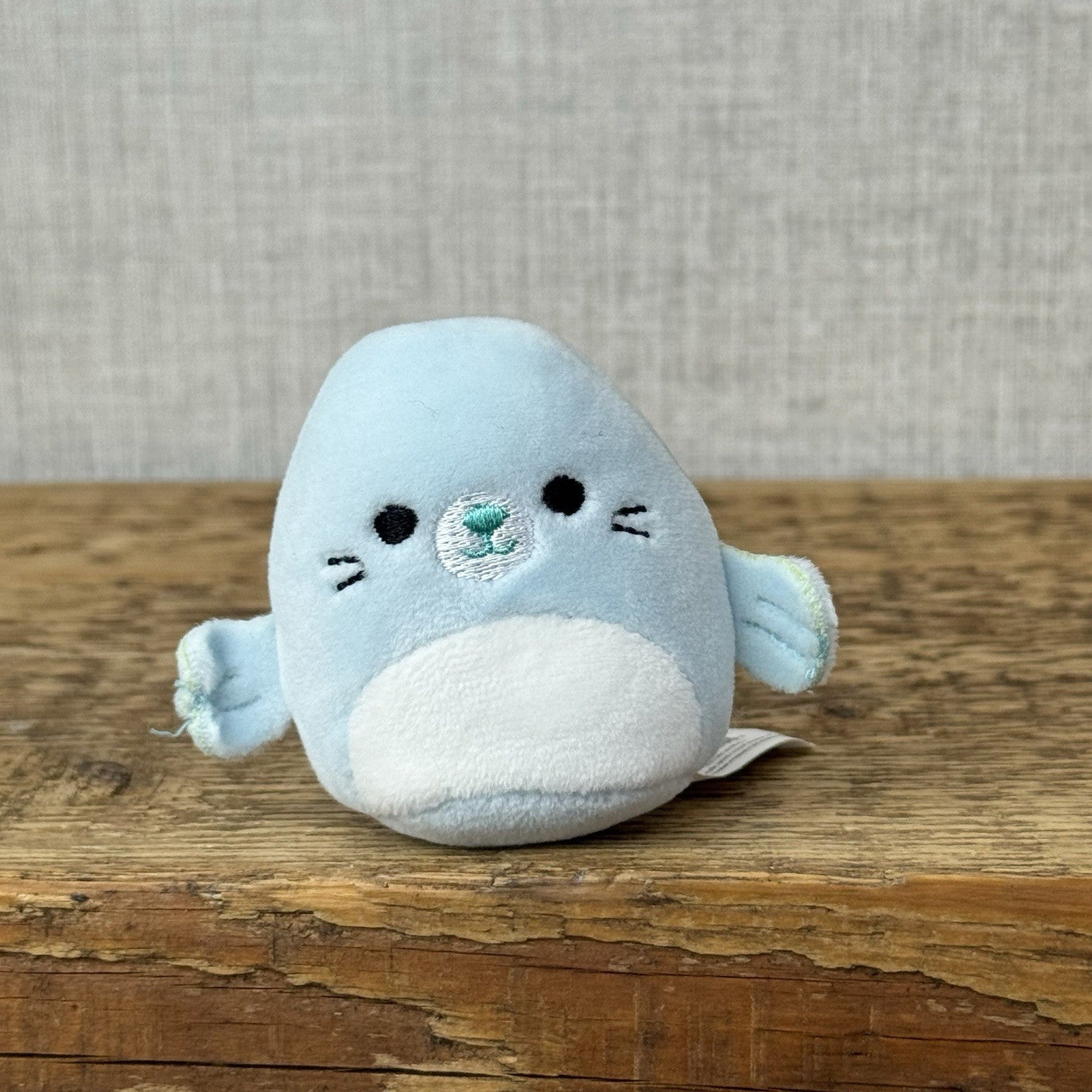 Squishmallow Squishville - Dorgee Blue Seal Mini Sea Plush (Multi Buy Discount)