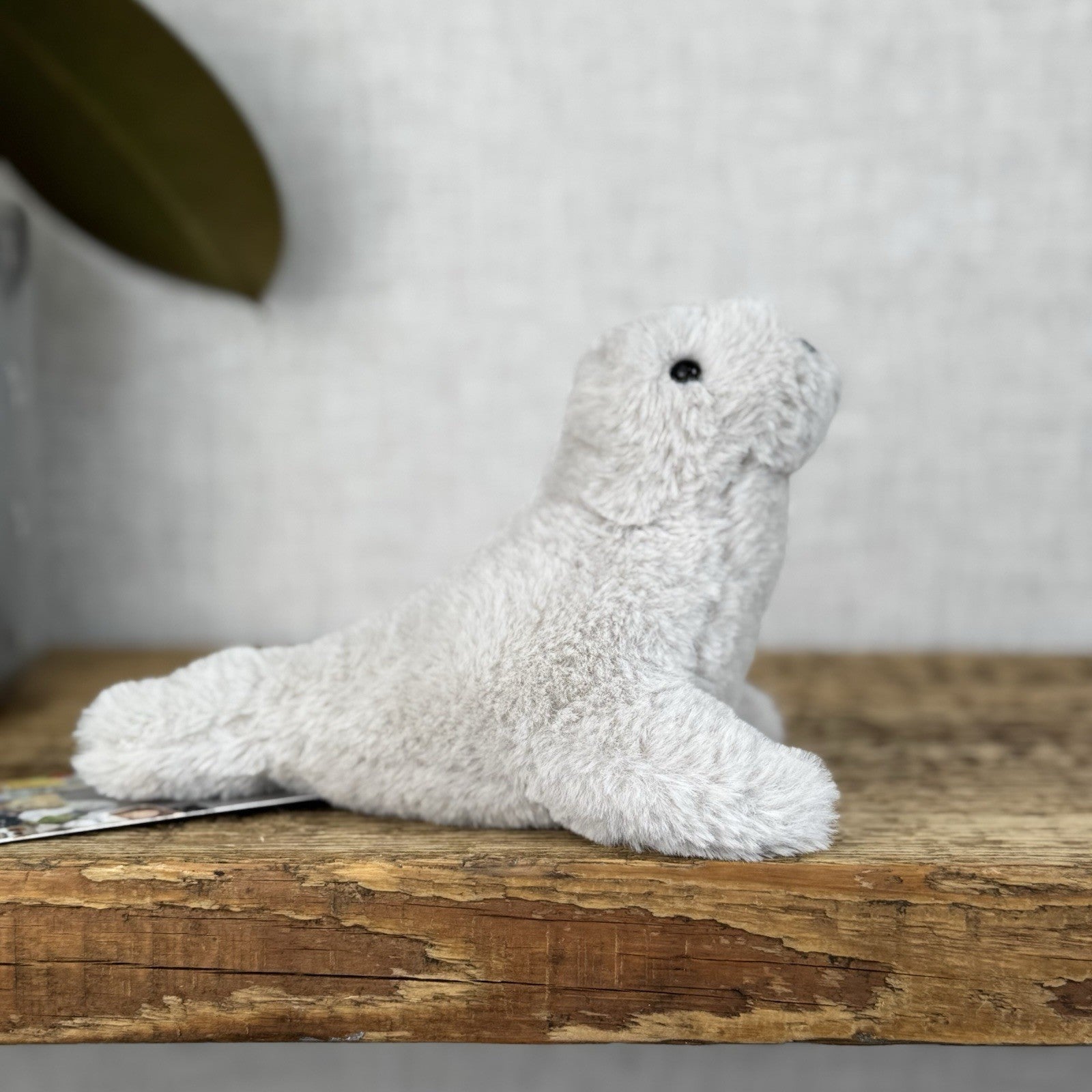 Jellycat Diddle Seal - Diddle Collection - Tiny Seal Soft Toy Plush Collectible 