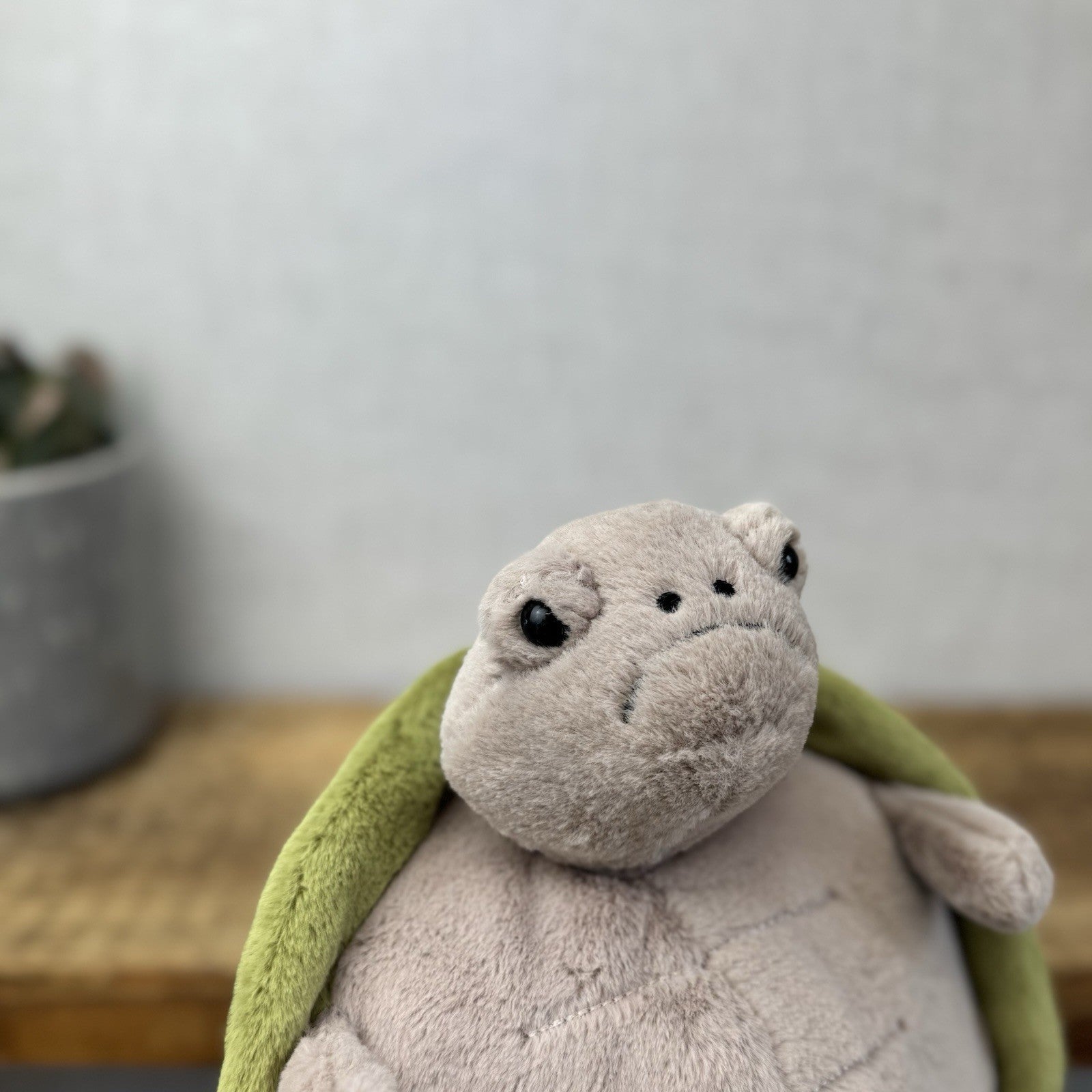 Jellycat Timmy Turtle - Grumpy Turtle Soft Toy (With Tags) Beanie Turtle 12"