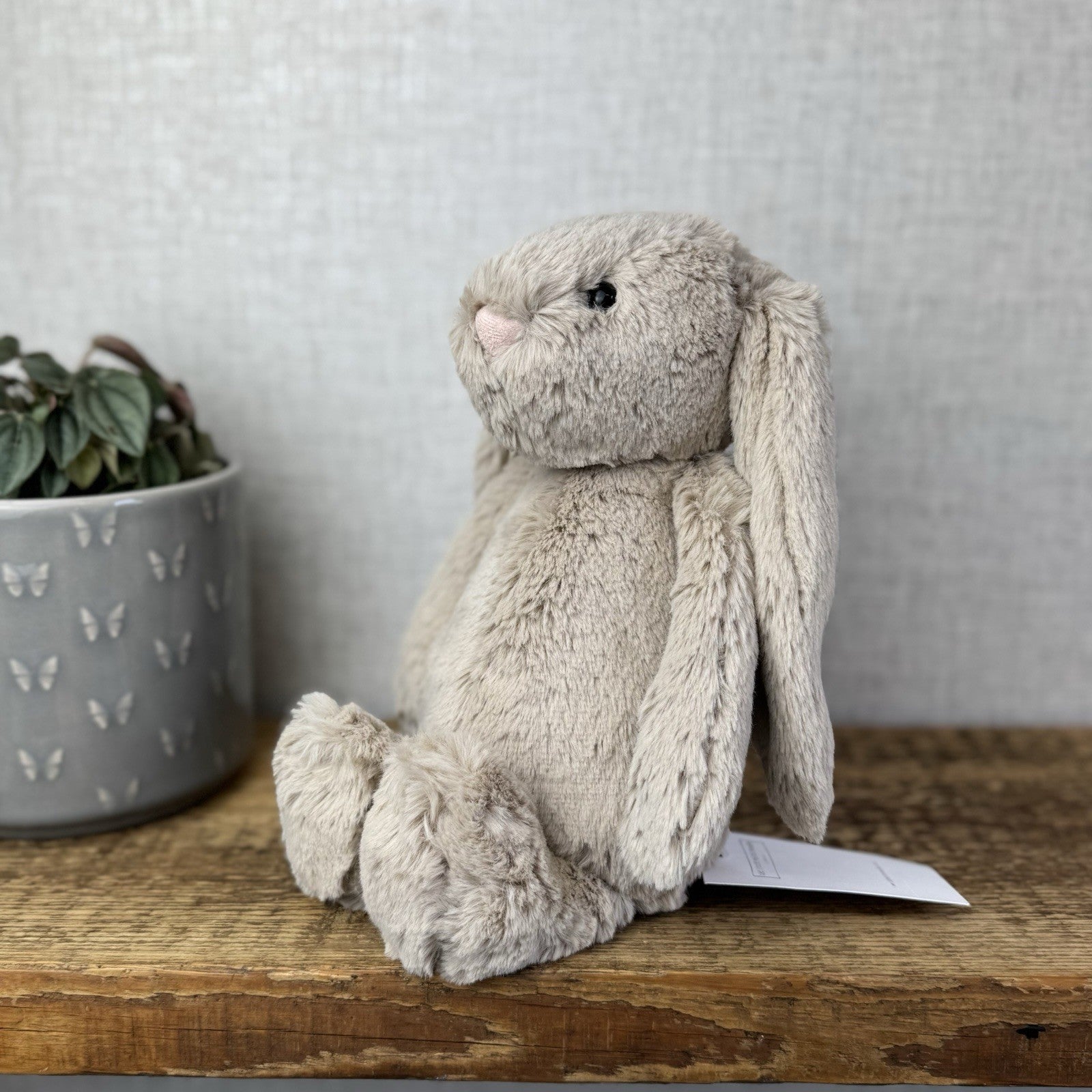 Jellycat Medium Natural Bunny - Little White Company Exclusive Version New Tags