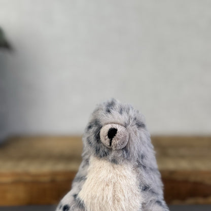Jellycat Nauticool Spotty Seal - Mini Fluffy Grey Spotty Seal Beanie Plush Tags