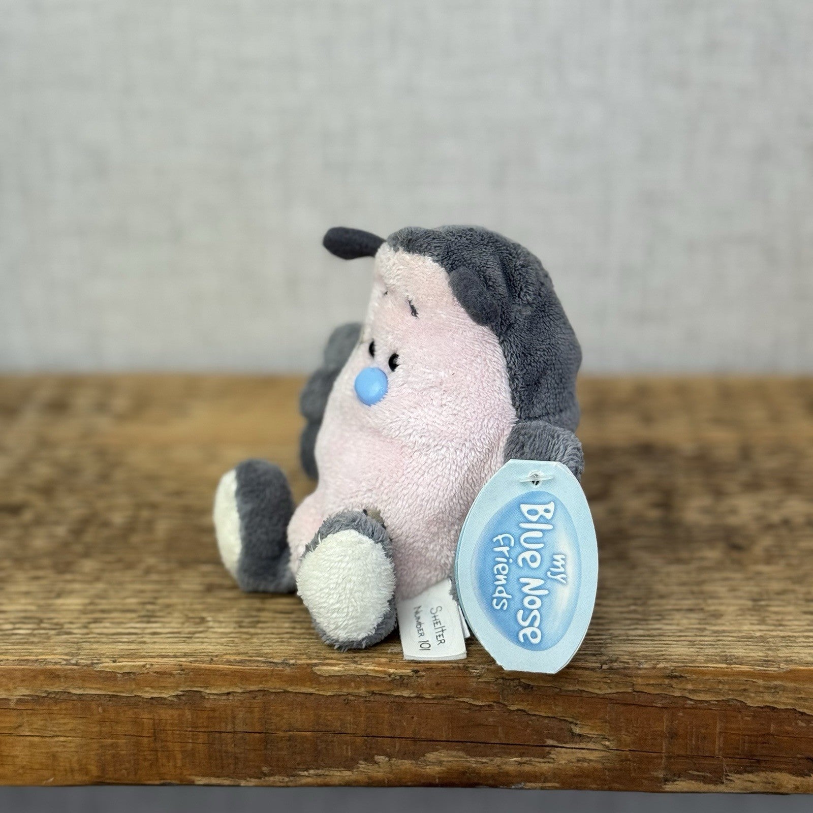 Blue Nose Friends Shelter Woodlouse Mini Bug Collectible Carte Blanche #101