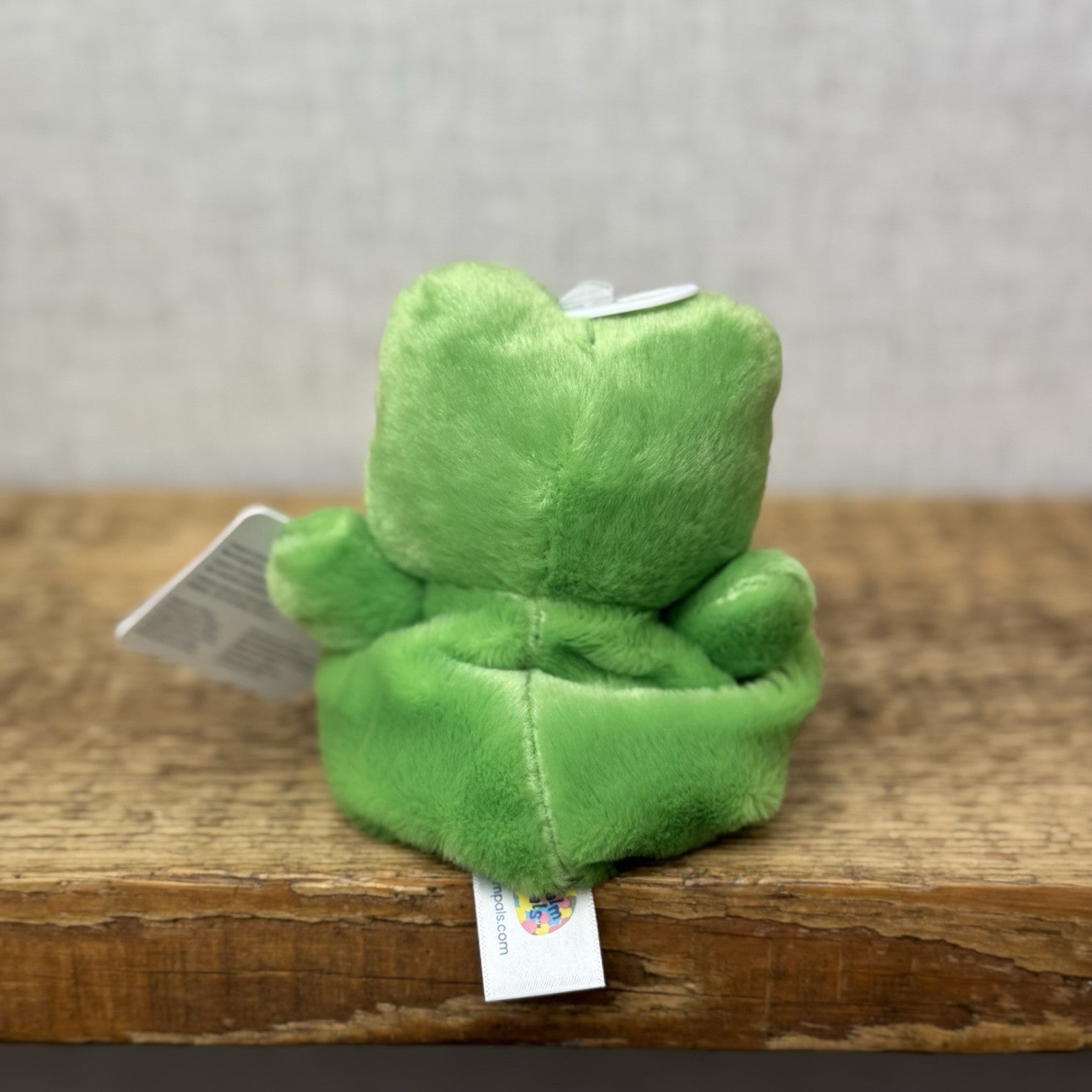 Aurora - Palm Pals Mini Beanbag Plush - Mini Frog Ribbit Plush With Tags