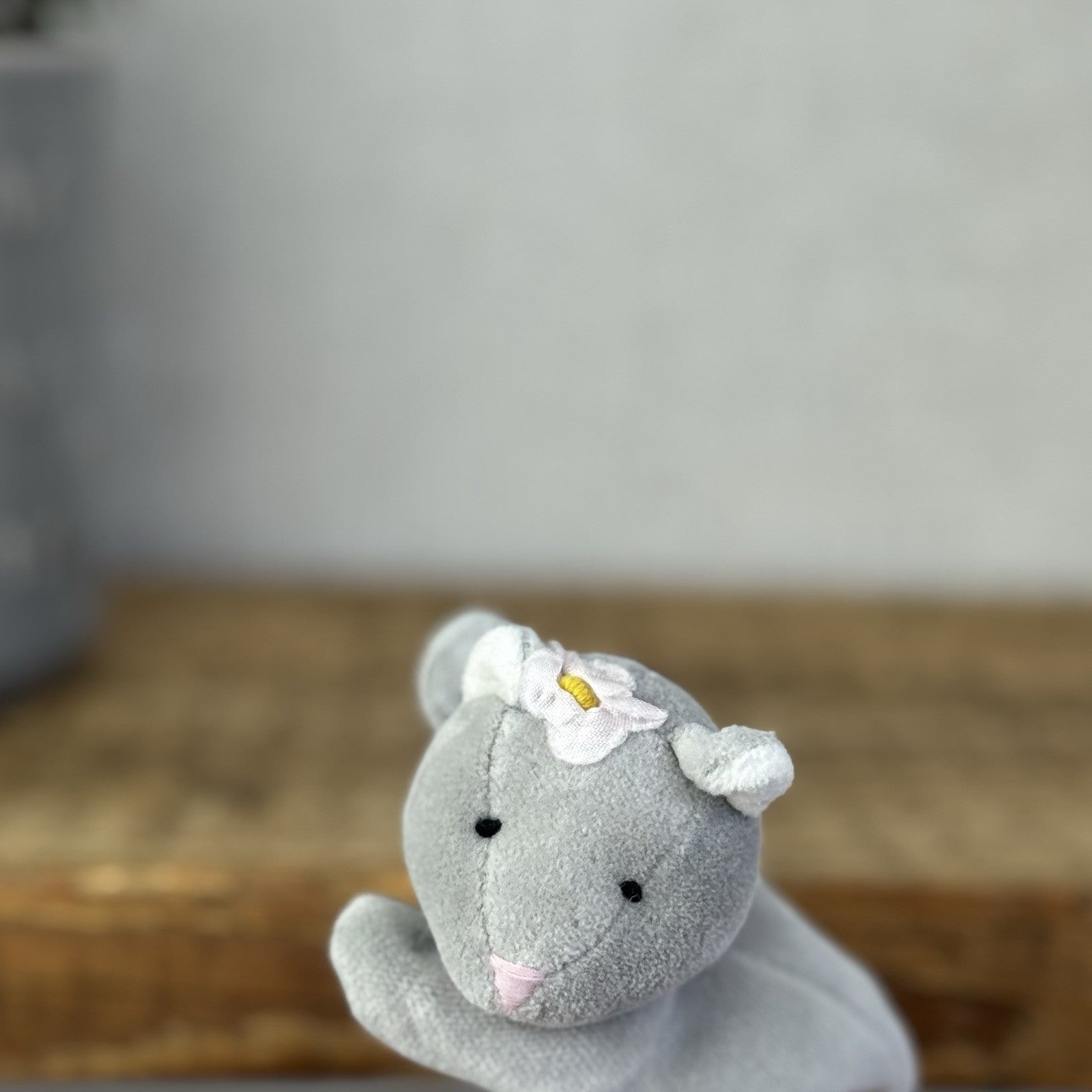 Monsoon Flower Flopsy Kitten (Jellycat Collaboration) Mini Cat Beanbag Plush 5”