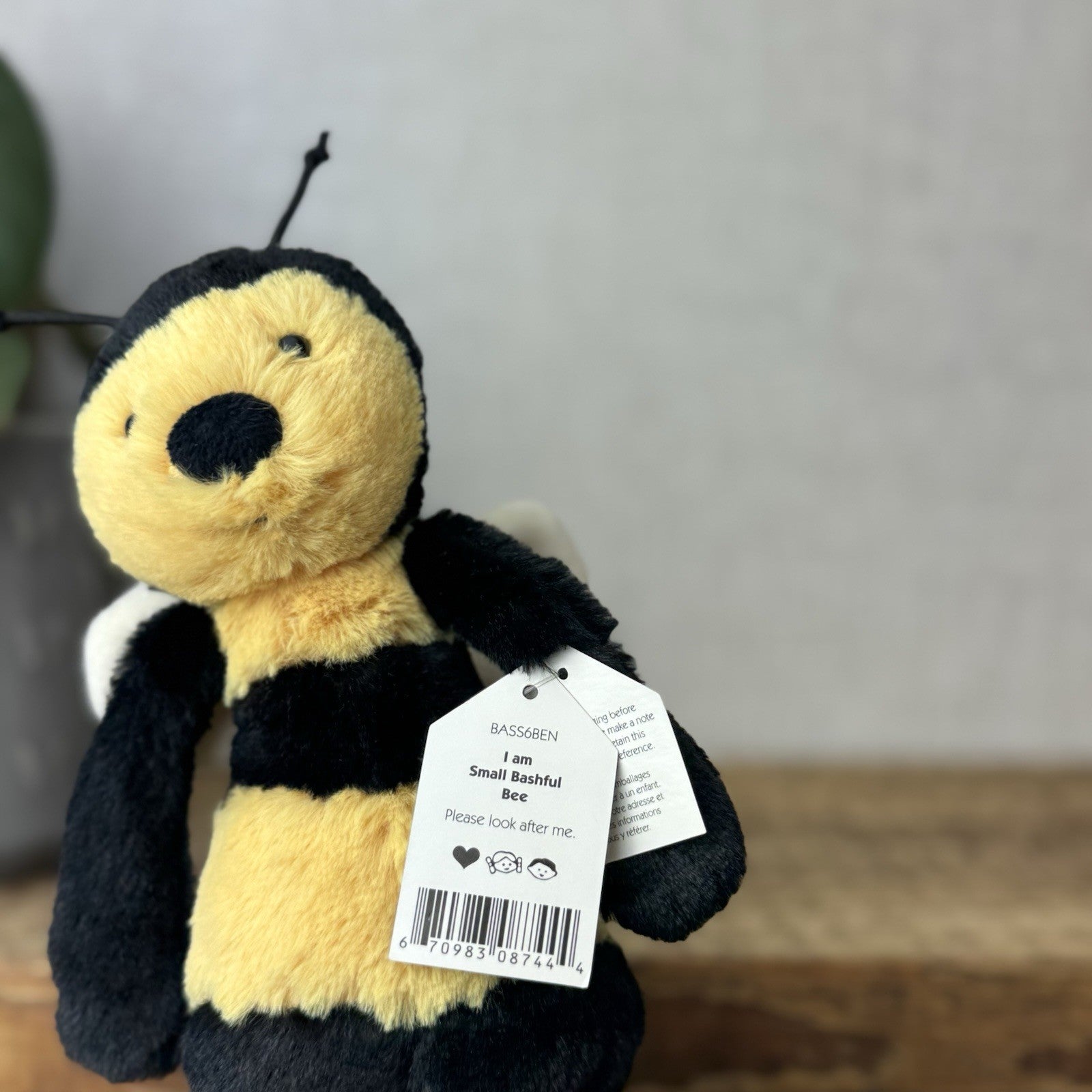 Jellycat Small Bashful Bee - Old Style Bumble Bee Beanie Plush New With Tags 8”