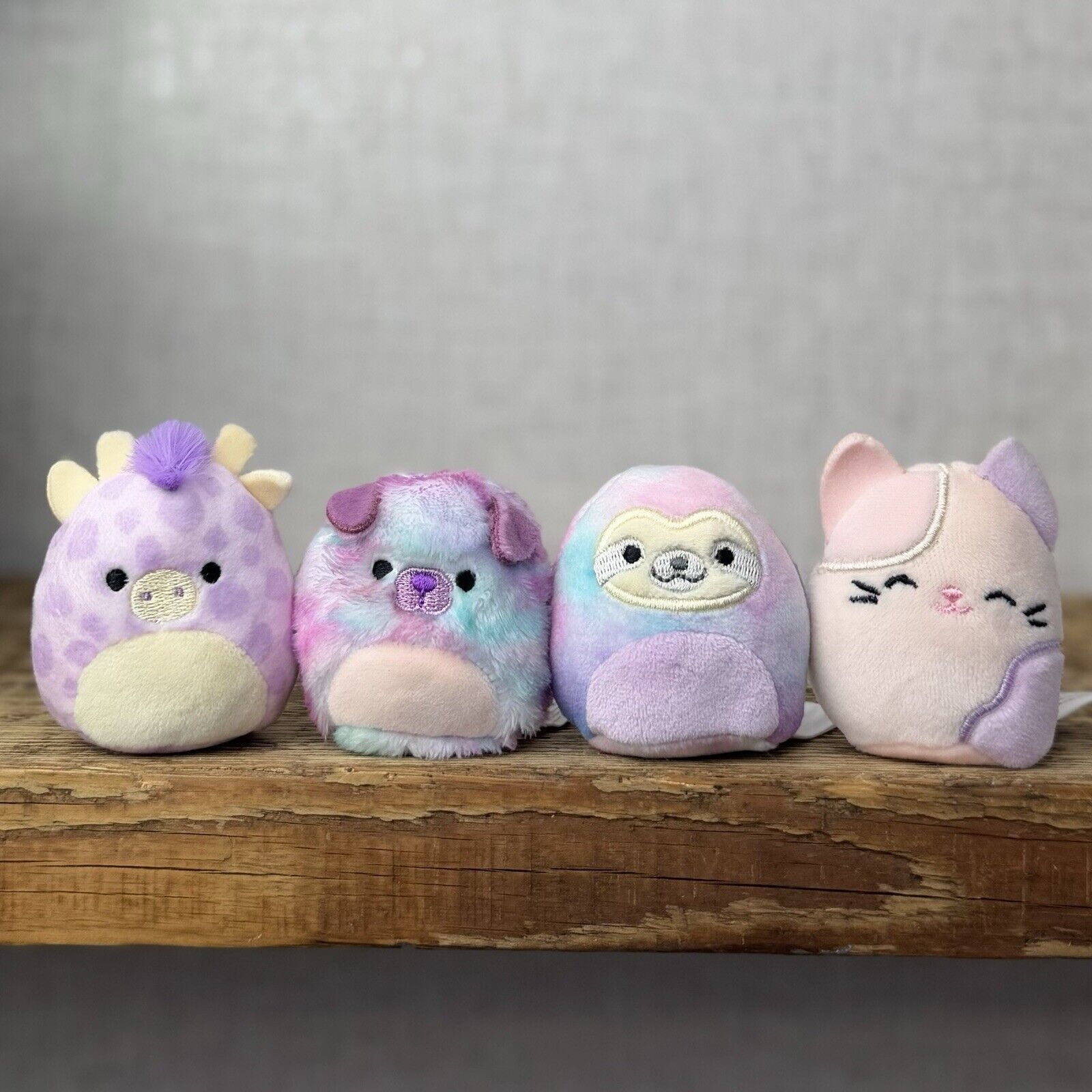 Squishmallow Squishville - Purple Pals Squad - Carlota, Patrick, Bashira & Jazzy