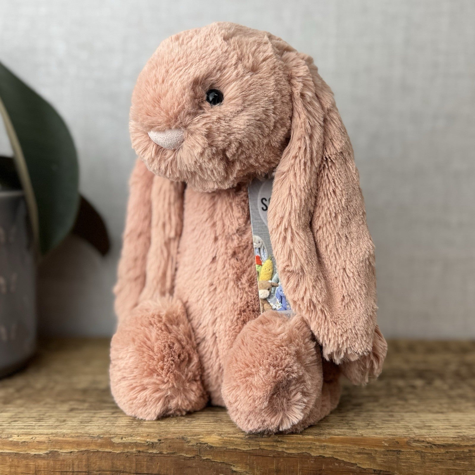 Jellycat Medium Bashful Apricot Bunny - Peach Pale Pink Bashful Jellycat 12”