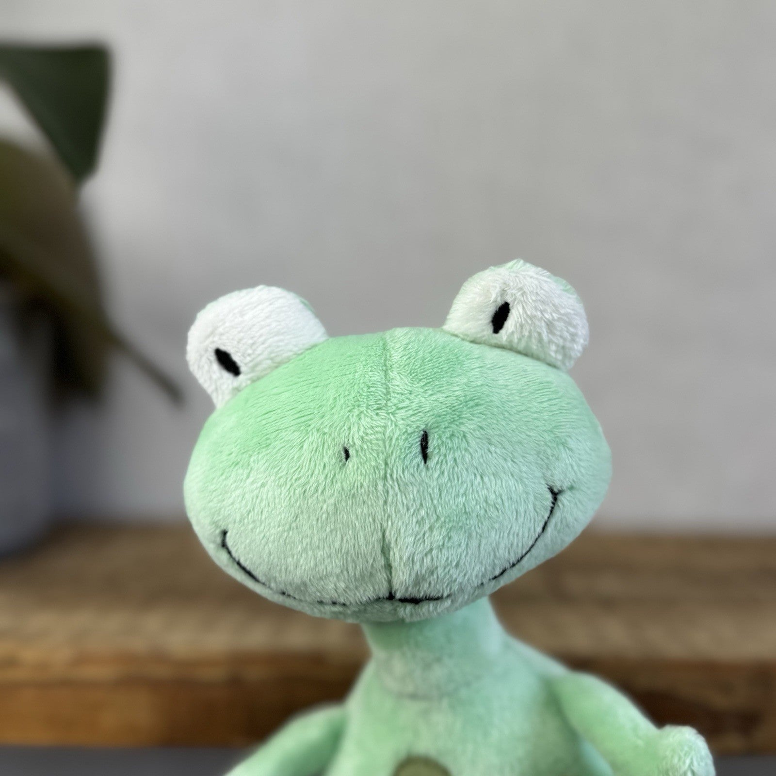 Jellykitten Bing Bong Frog - Soft Toy Frog Vintage Retired With Tags Small 10”