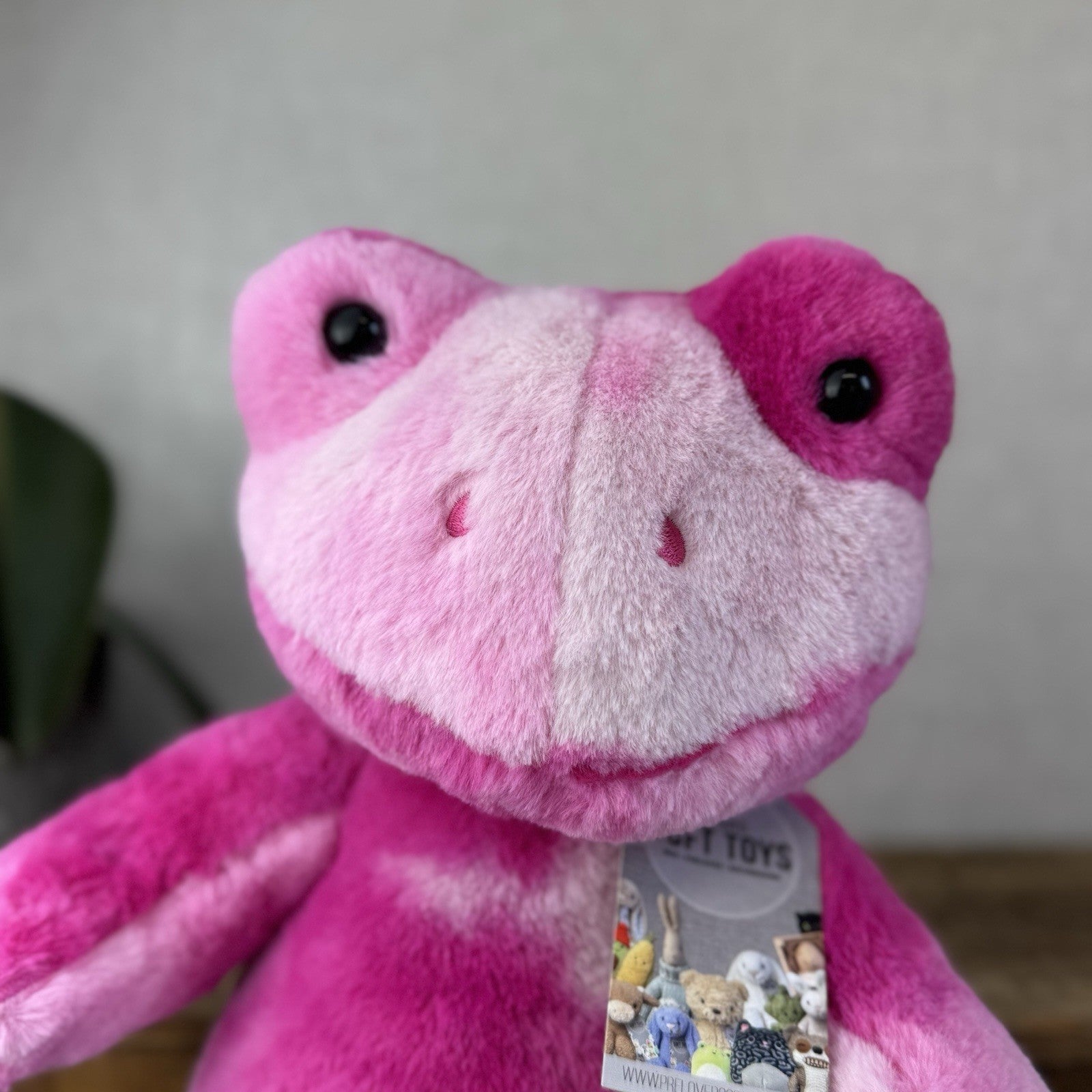 Build A Bear Pink Tie Dye Frog Plush Soft Toy Retired - Pink Tie Dye Frog 17”