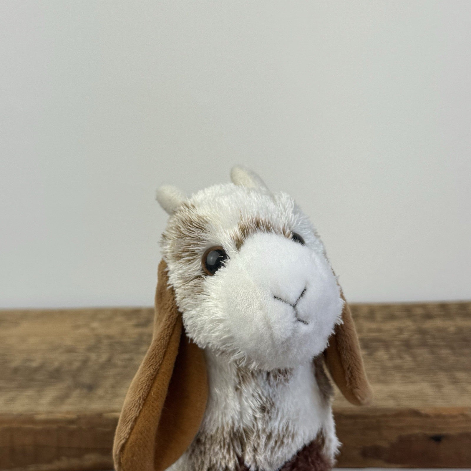 Douglas Cuddle Toys Goat Bhodi - Small Standing Goat Soft Toy #3646