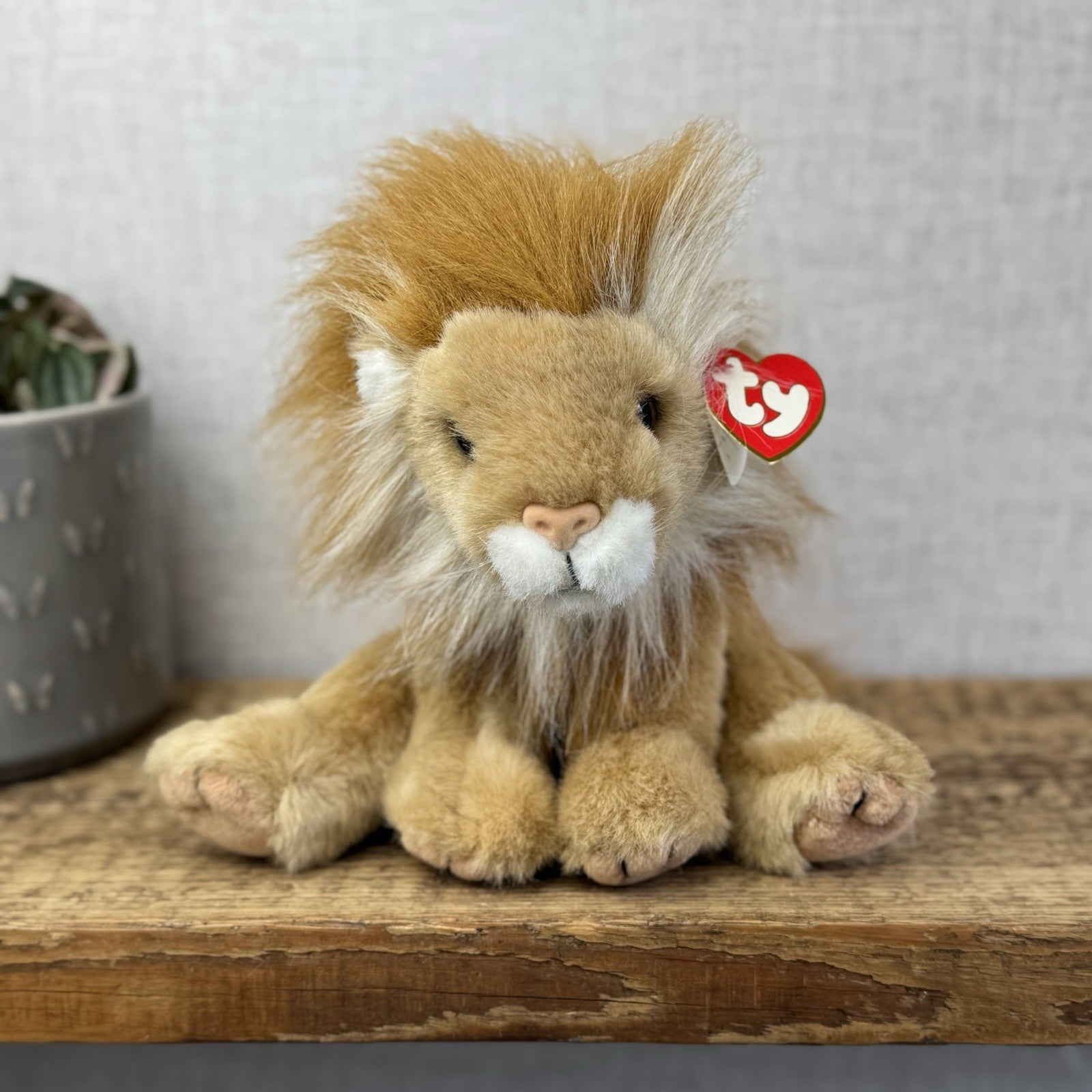 TY Classic Sahara - Beanie Baby Large Lion Wild Cat Soft Toy Pristine Tags 8"