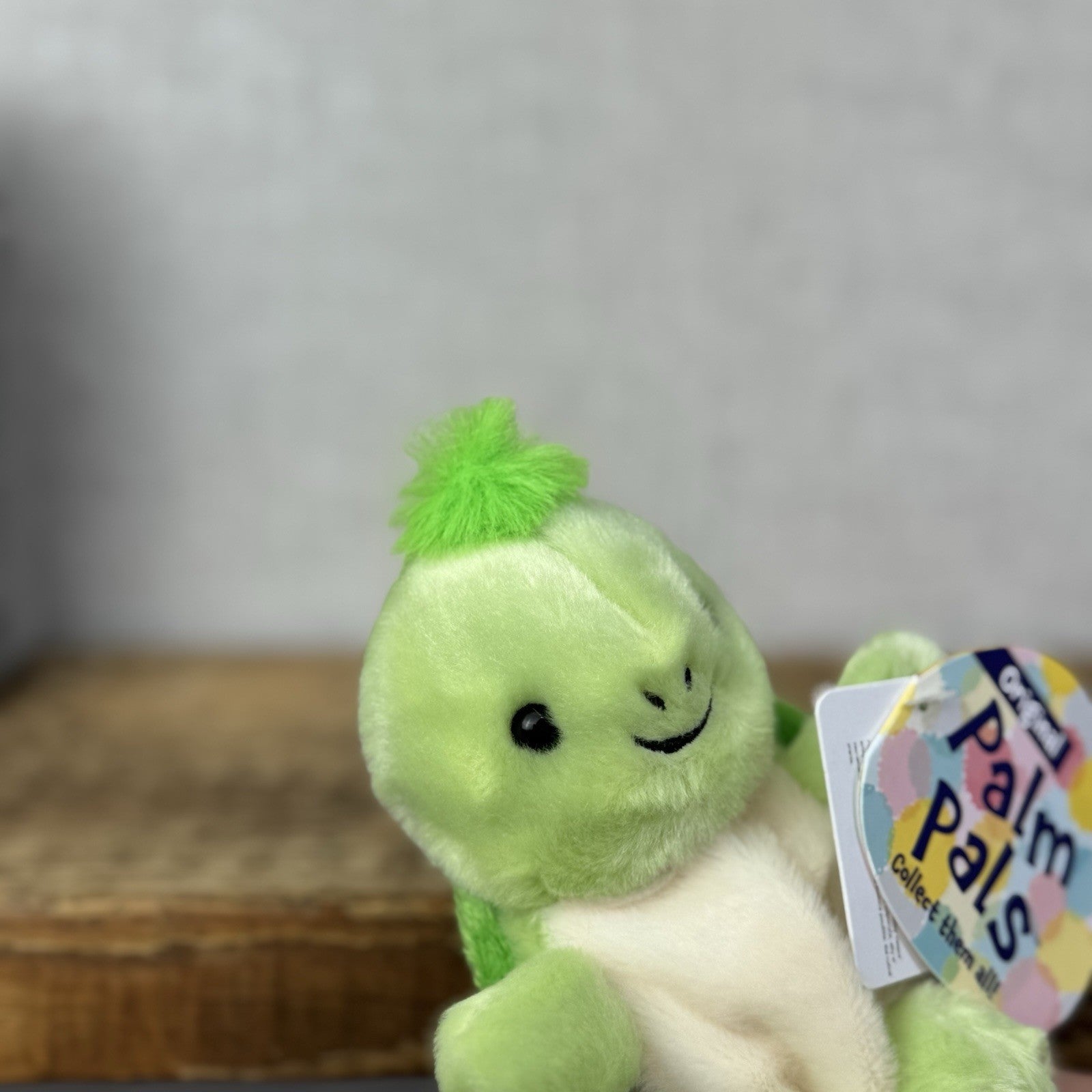 Aurora - Tiny Turtle - Palm Pals Mini Beanbag Plush Green Turtle Small Toy 5”