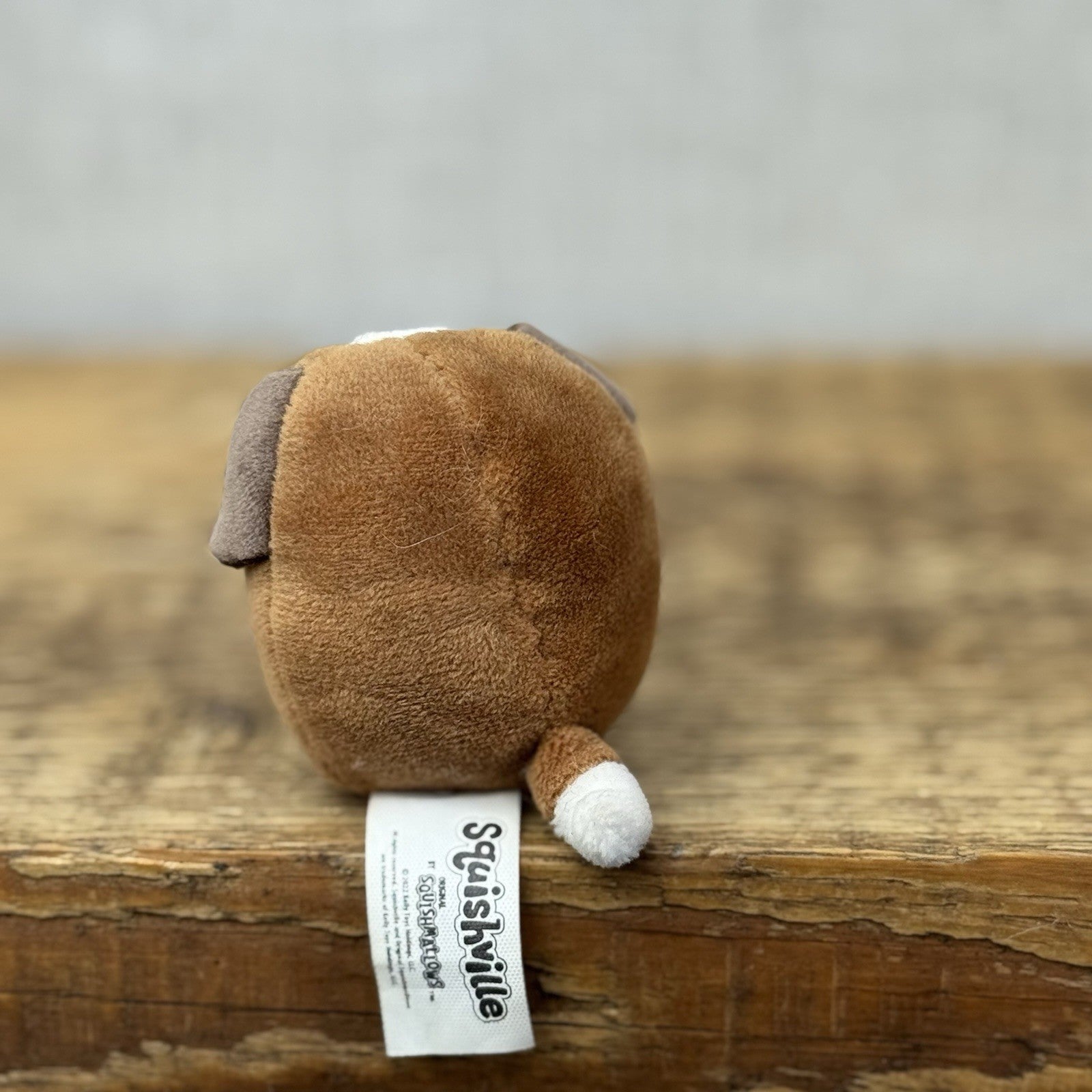 Squishmallow Squishville - Bernie St Bernard Miniature Dog Plush Squishy 2"