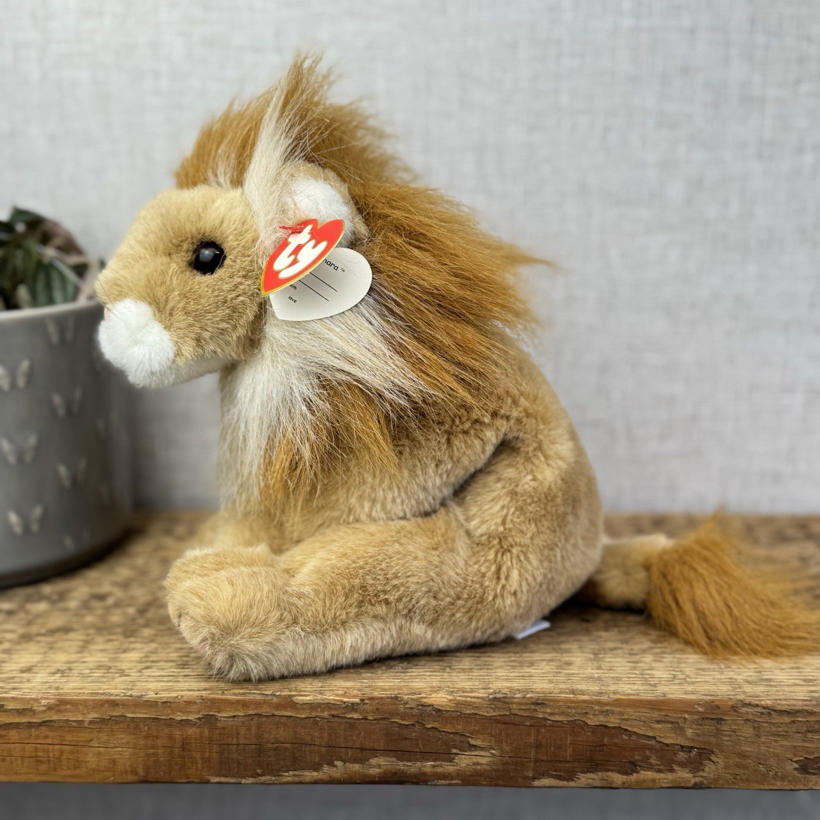 TY Classic Sahara - Beanie Baby Large Lion Wild Cat Soft Toy Pristine Tags 8"