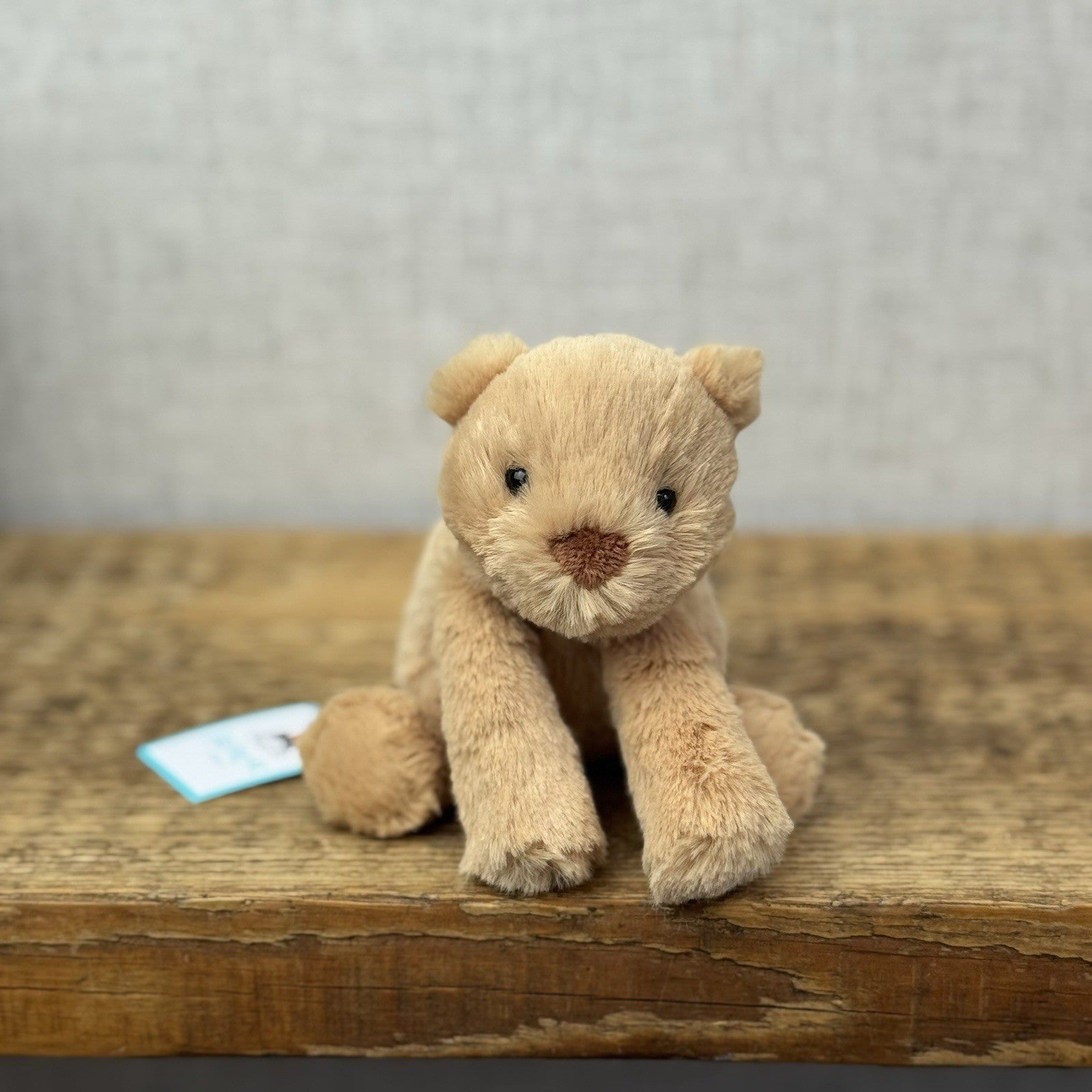Jellycat Tiny Smudge Bear - Miniature Bear Beanie Plush New With Tags Retired 7"