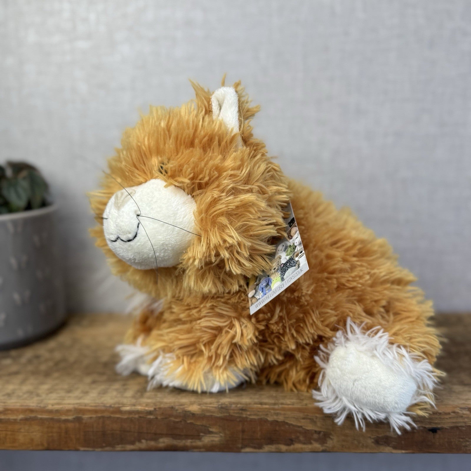 Jellycat Medium Truffles Vintage Ginger Cat - Cat Floppy Pillow Beanie Rare NWOT