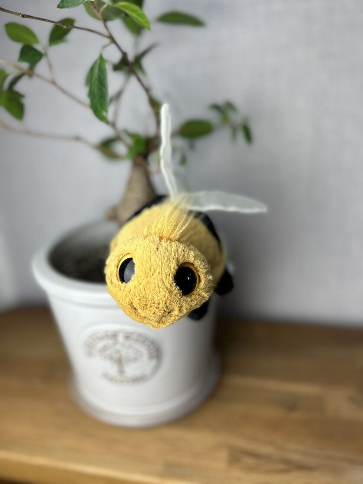 Jellycat Frizzles Bee - Jellycat Small Bee  - Frizzles - Big Eye Bee Bug Small