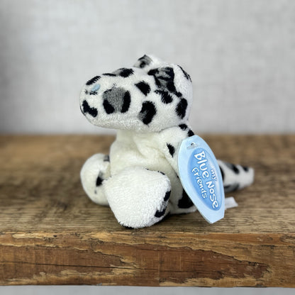 Blue Nose Friends Flip The Gecko #114 Carte Blanche Mini Reptile Soft Toy