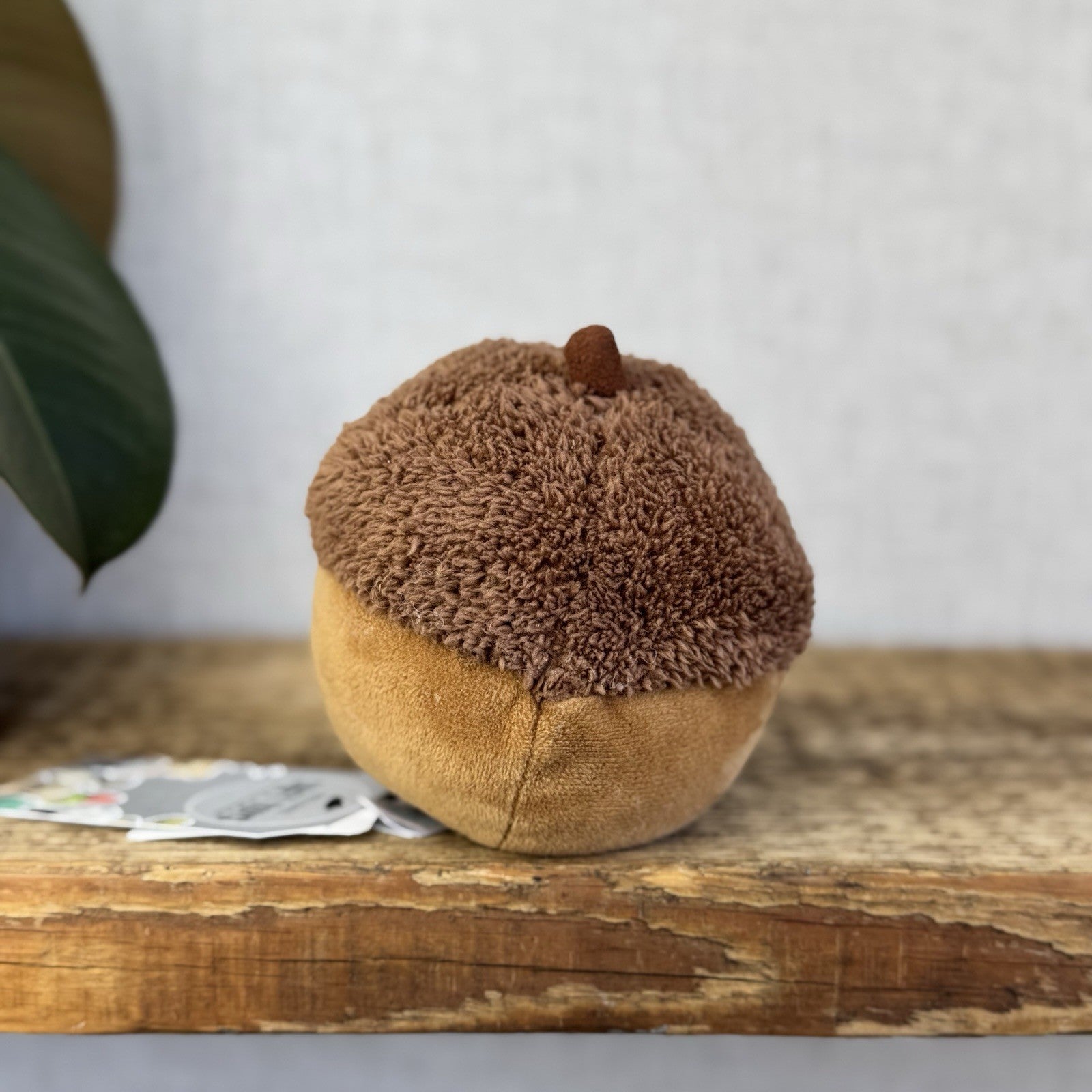 Jellycat Amuseable Acorn - Jellycat Autumn Soft Toy - Acorn Small Jellycat (#4)