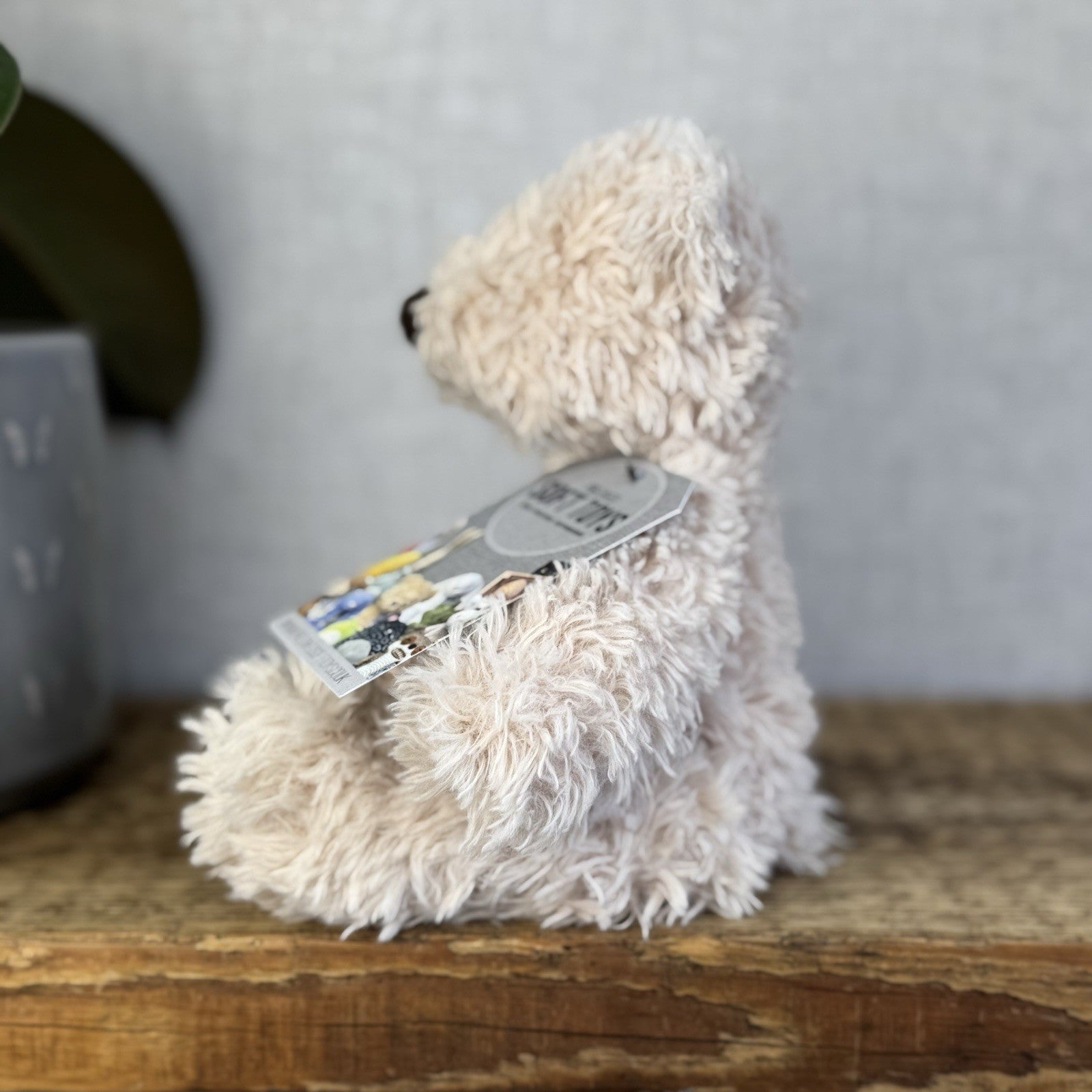 Jellycat Small Biscuit Bear - Curly Off White Small Beanie Bear Rare Retired 7"