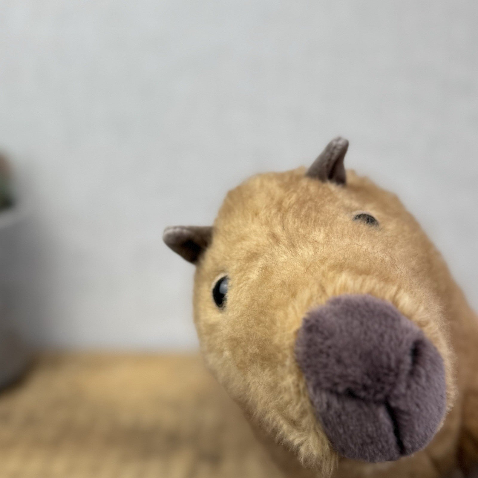 Jellycat Clyde Capybara - New With Tags Capybara Soft Toy Retired 10"
