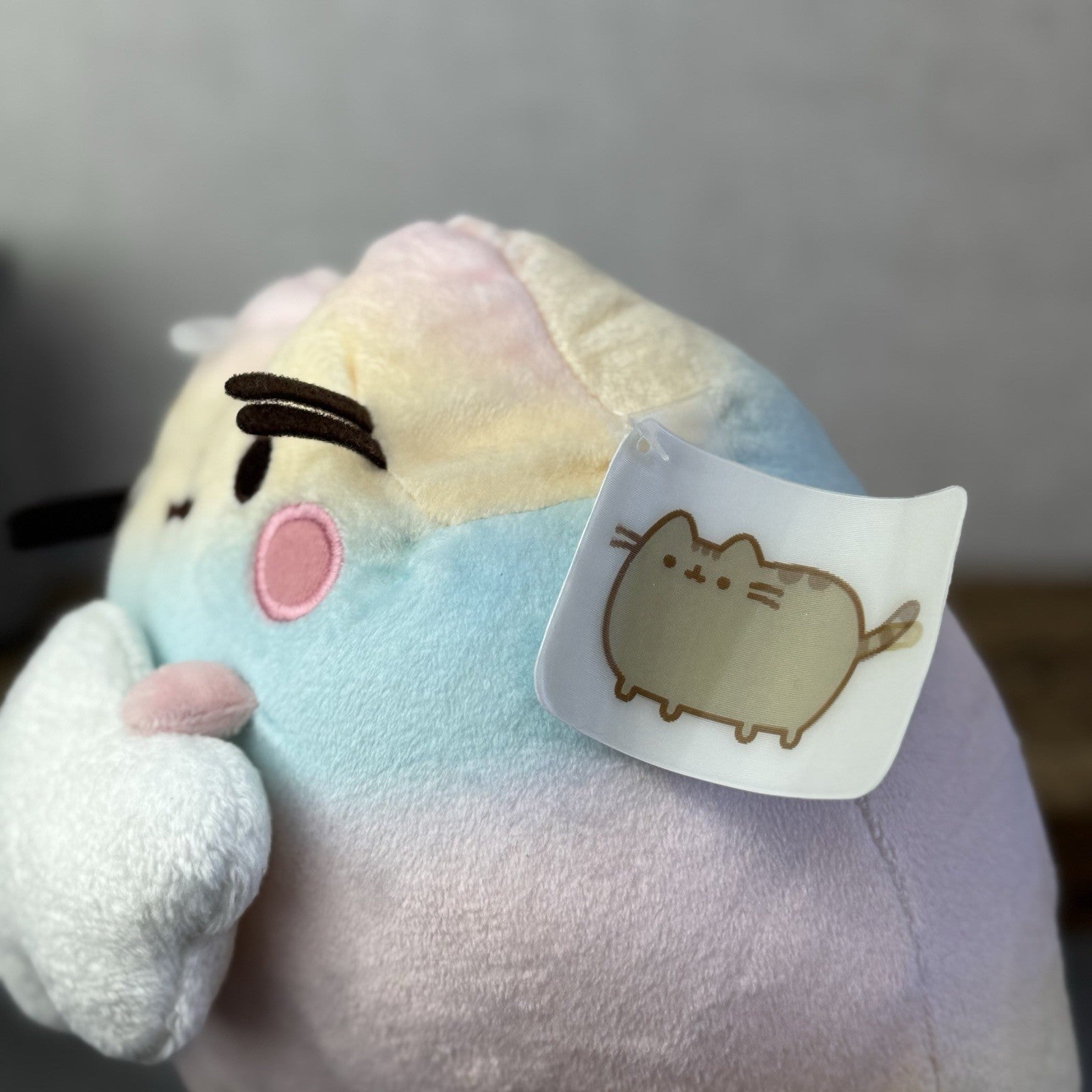 Gund Pusheen Cat - Rainbow Ombre Pusheen With Cloud - Partial Tag 10"