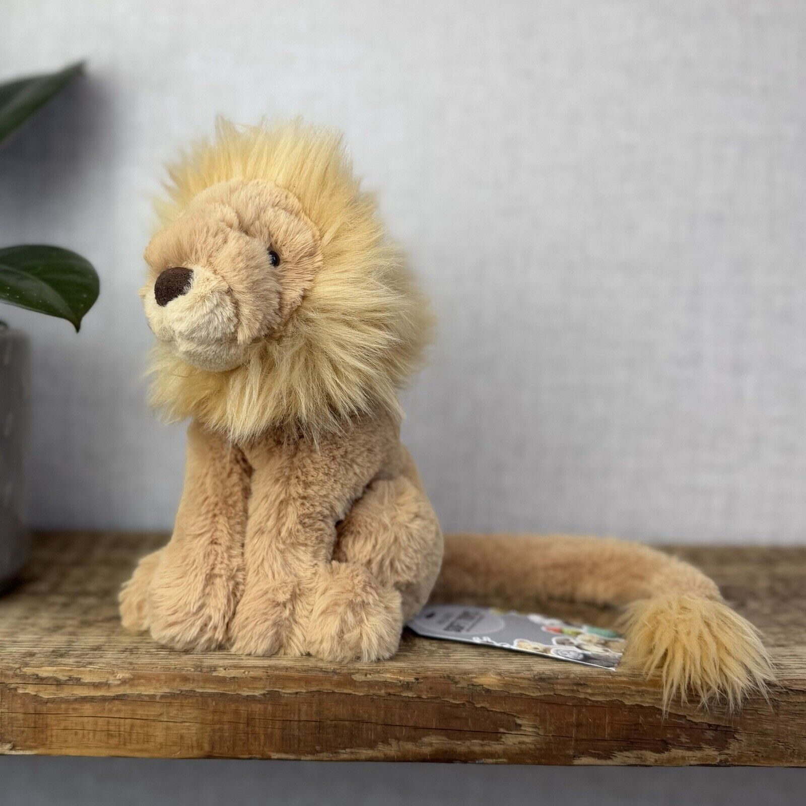 Jellycat Leonardo Lion Small Cat Long Tail - Sitting Jellycat Lion Small 7”