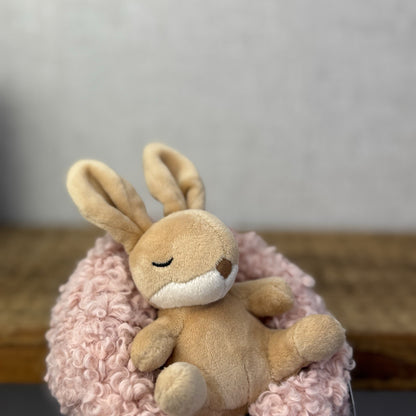 Jellycat Hibernating Bunny- Baby Sleeping Rabbit & Nest Soft Toy Plush Cute 5”