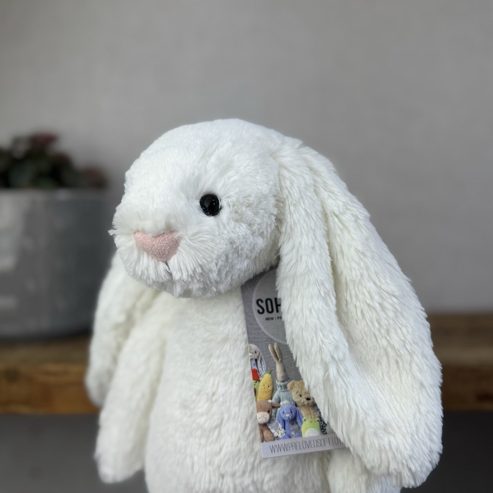 Jellycat The Little White Company White Bashful Bunny White Bunny Retired 12"