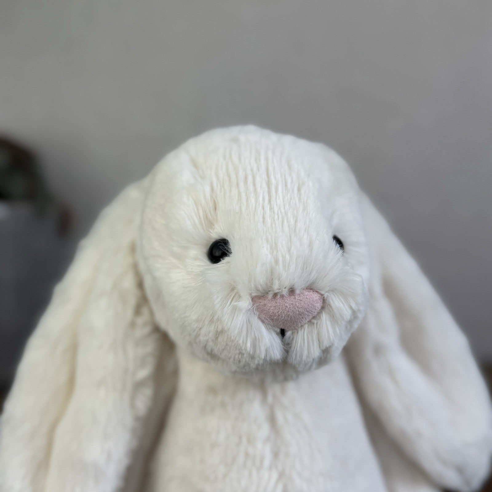 Jellycat Medium Cream Bashful Rabbit - Cream Off White Medium Bunny 12” New Tags