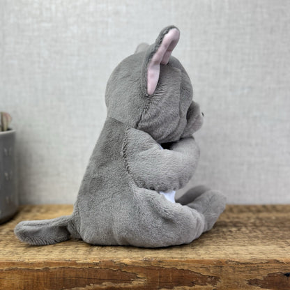 TY Beanie Bellies - Wilfred the Dog 15cm - Large Beanie French Bulldog Soft Toy