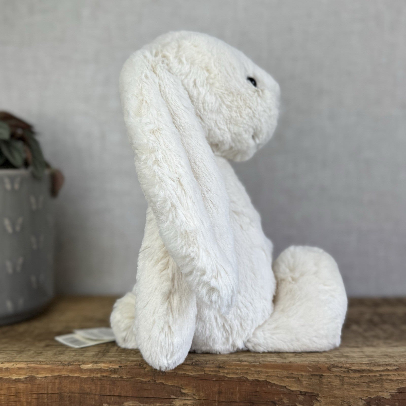 Jellycat Medium Cream Bashful Rabbit - Cream Off White Medium Bunny 12” New Tags