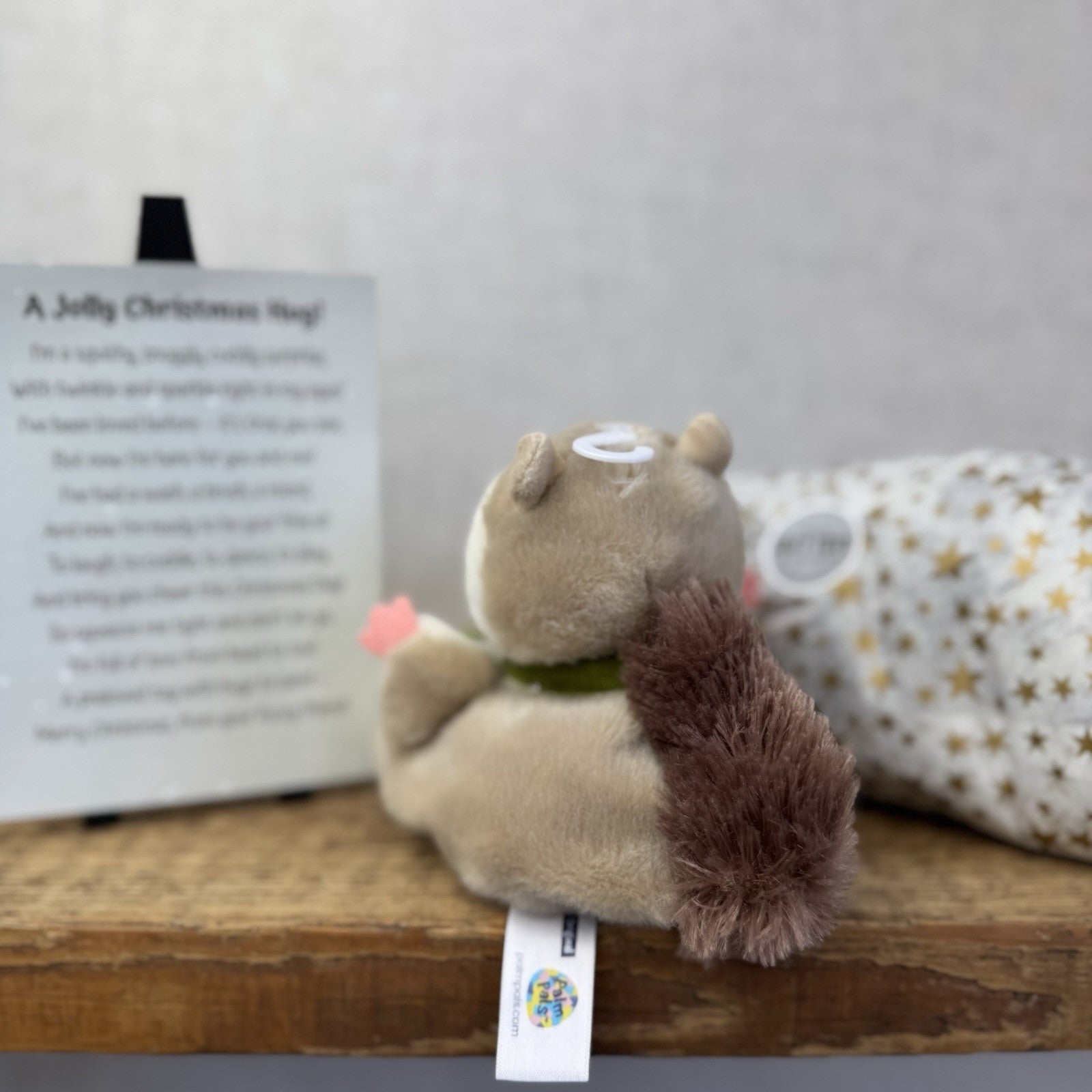 Aurora Palm Pal Flying Squirrel - Secret Santa Gift Box - Christmas Gift Wrapped