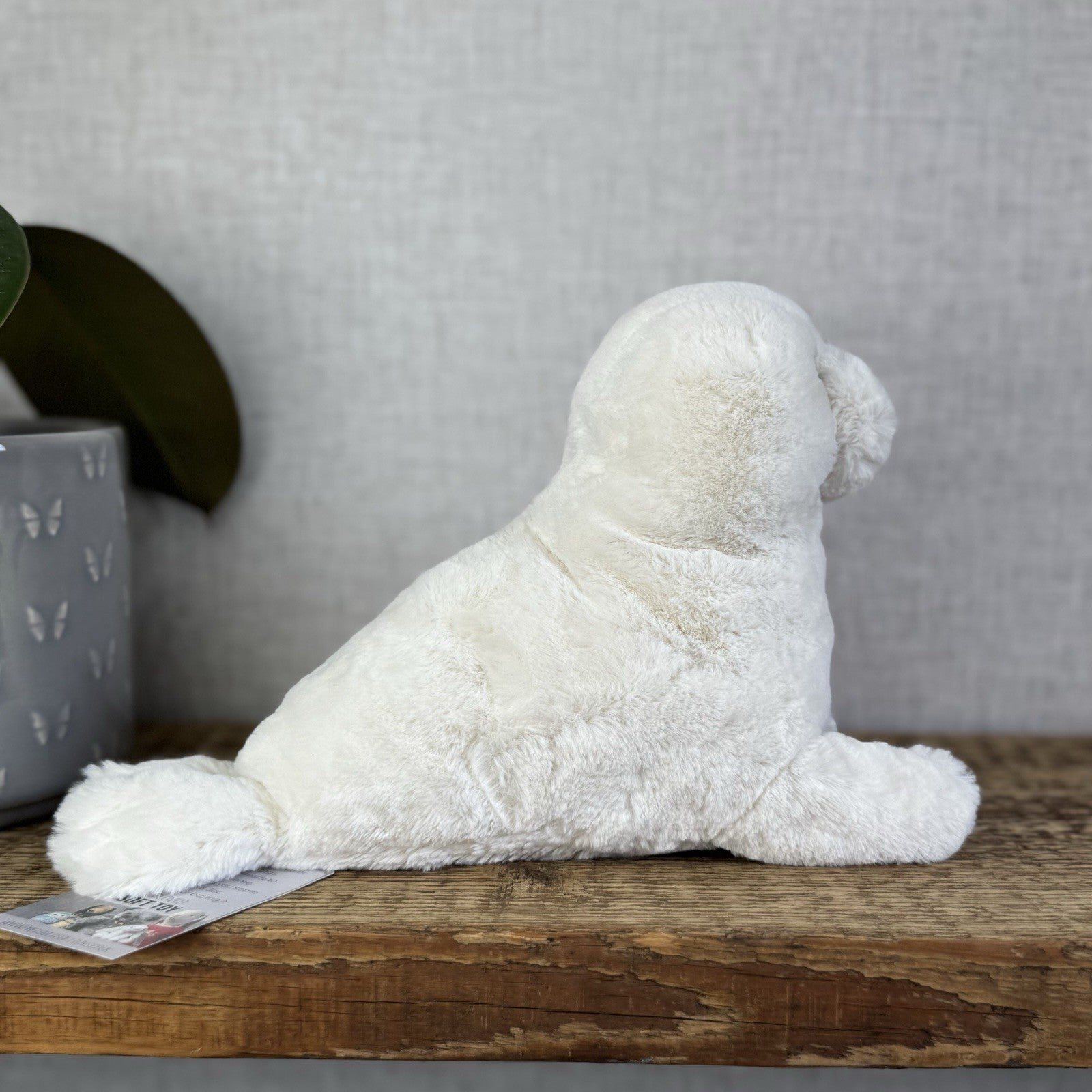 Jellycat Small Rafferty Seal Pup - White Seal Soft Toy Plush Retired 10” (#2)