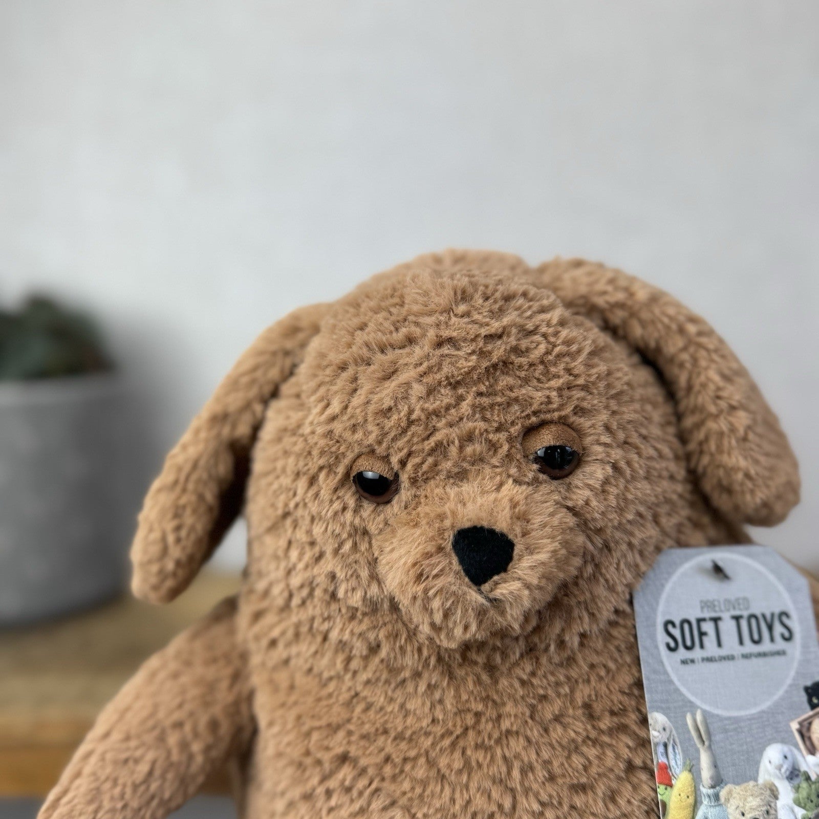 Jellycat Amore Dog - Large Textured Tan Dog Plush Toy Sleepy Puppy 11"