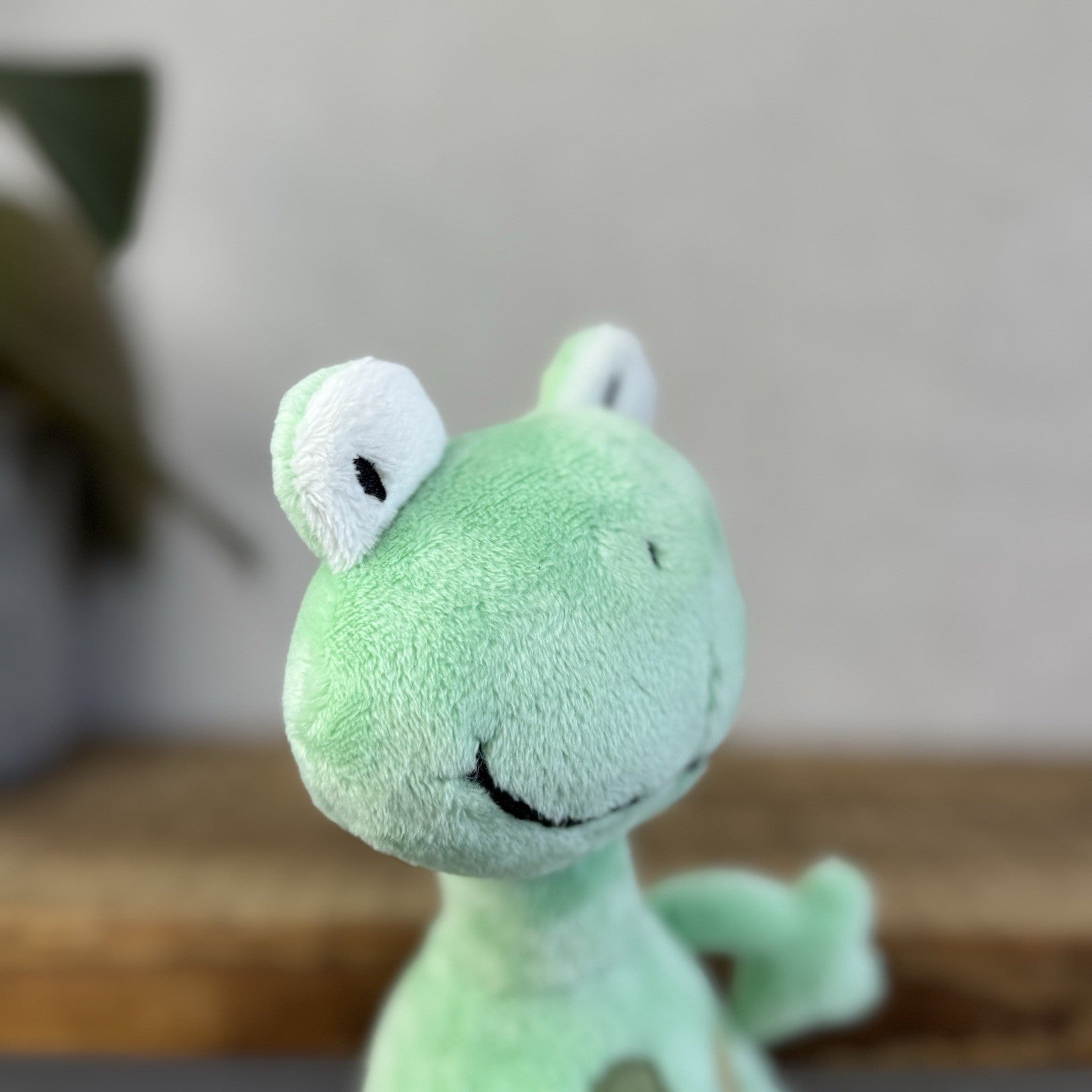 Jellykitten Bing Bong Frog - Soft Toy Frog Vintage Retired With Tags Small 10”