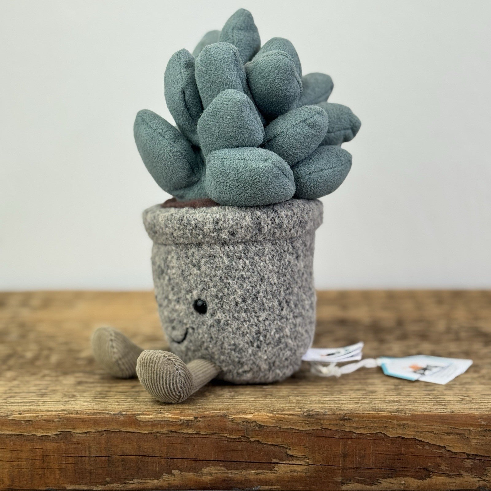 Jellycat Succulent Azuilita - Partial Paper Tag - Potted Succelent Beanie Plush 