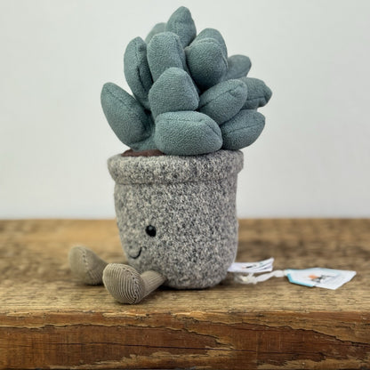 Jellycat Succulent Azuilita - Partial Paper Tag - Potted Succelent Beanie Plush 