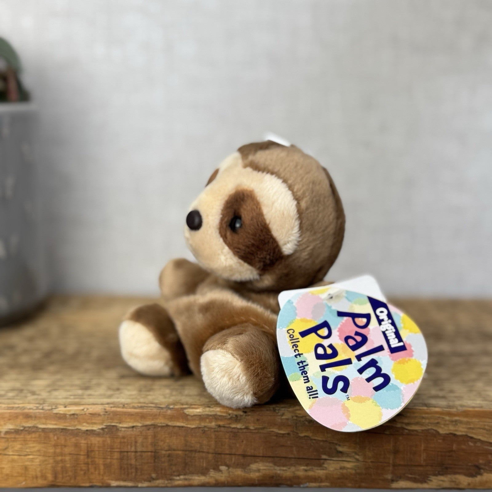 Aurora - Slomo Sloth - Palm Pals Mini Beanbag Plush Mini Sloth Wild Animal New