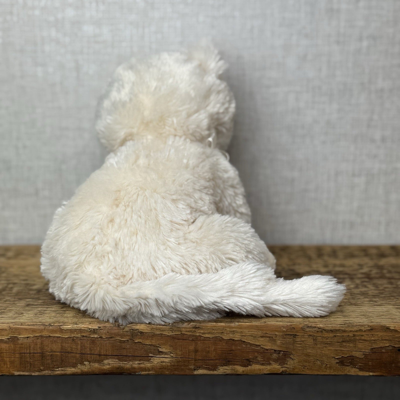 Bukowski Bears - Guccio Cat Small Cream/off White Beanie Cat/kitten Small 10”